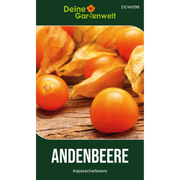 Physalis Andenbeere Kapstachelbeere