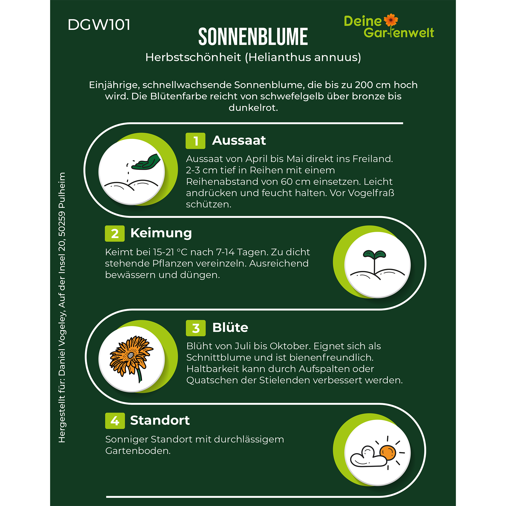 Sonnenblumen Herbstschönheit