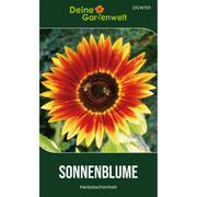 Sonnenblumen Herbstschönheit