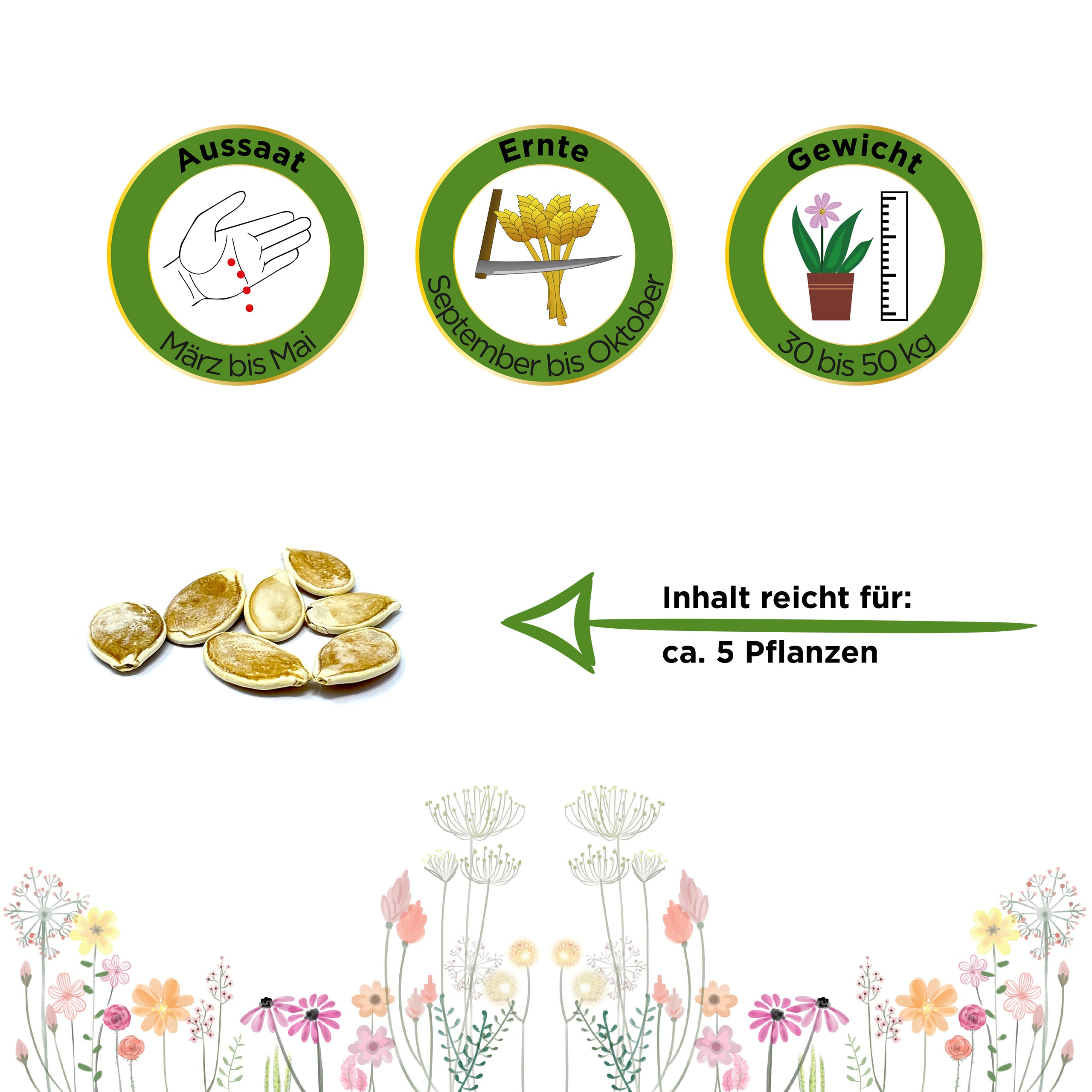 Speisekürbis Big Max