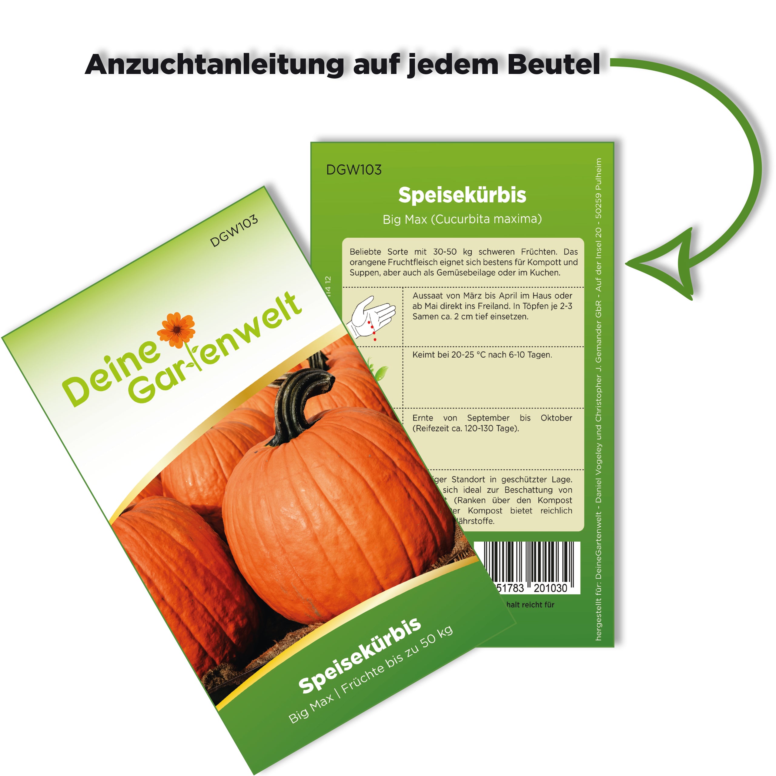 Speisekürbis Big Max