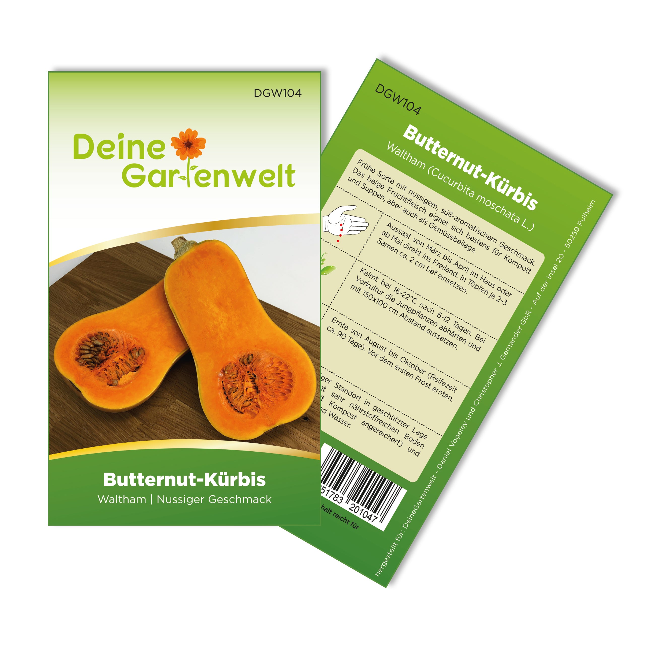 Butternutkürbis Waltham