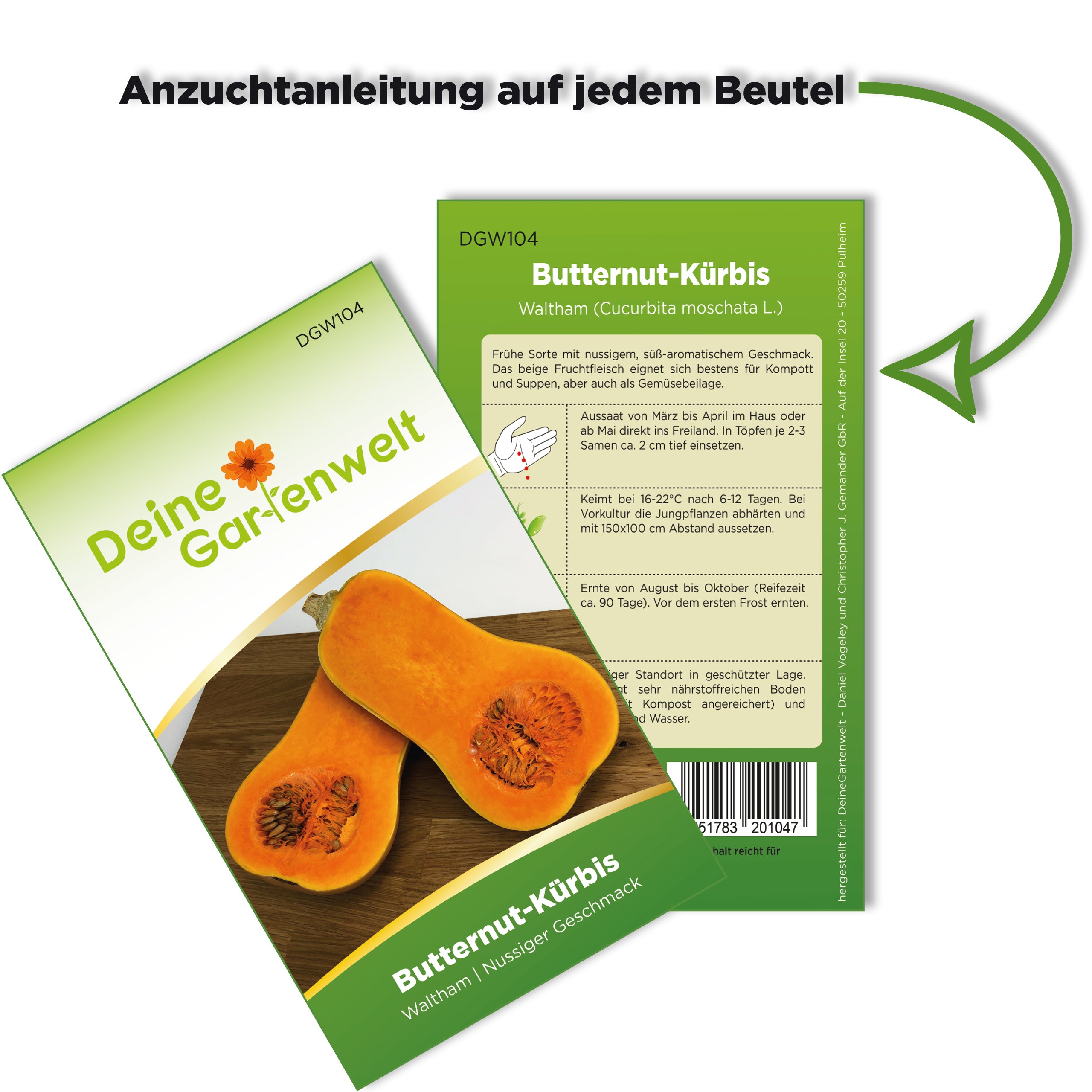 Butternutkürbis Waltham