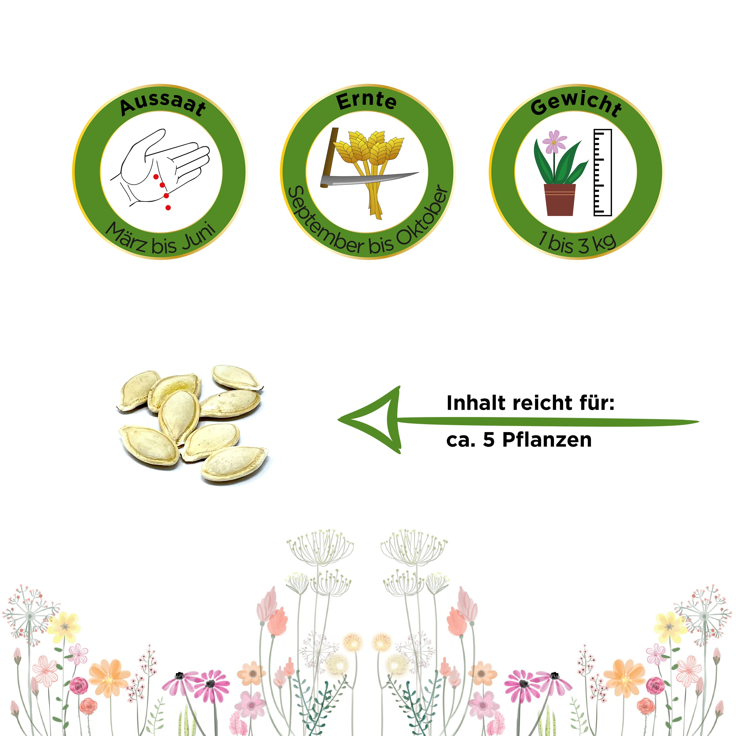 Spaghetti-Kürbis Vegetable Spaghetti