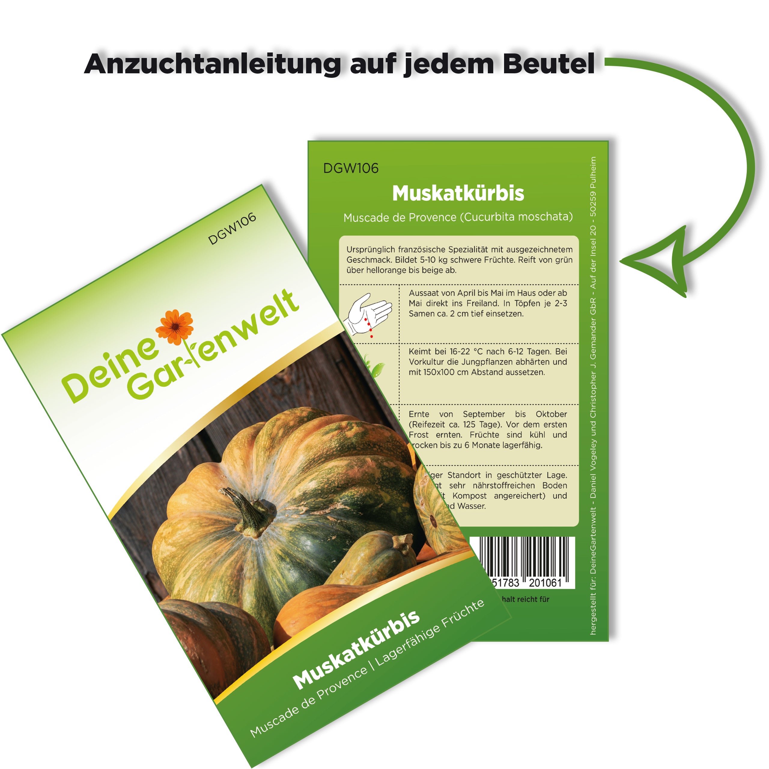 Muskatkürbis Muscade de Provence