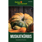 Muskatkürbis Muscade de Provence