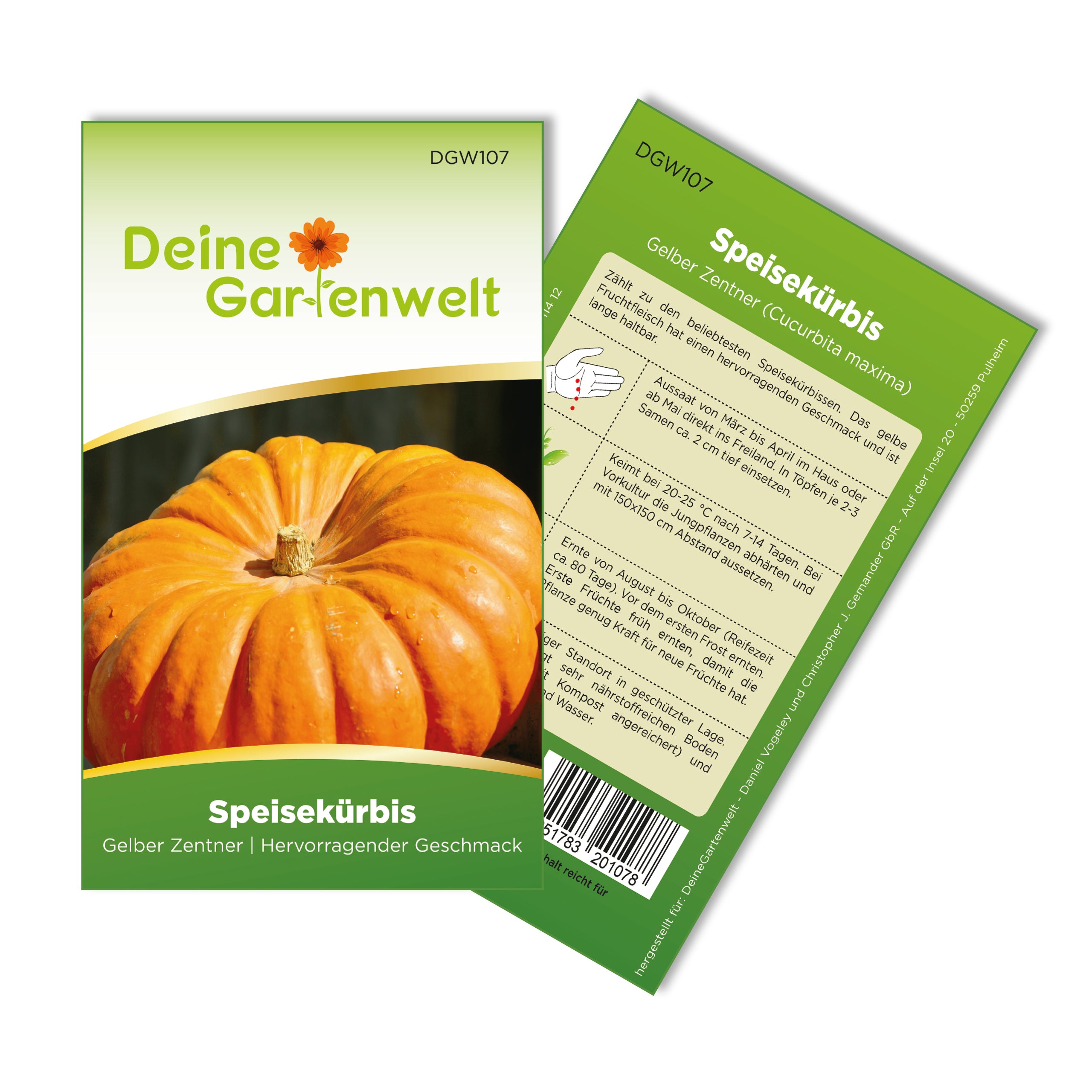 Kürbis Gelber Zentner