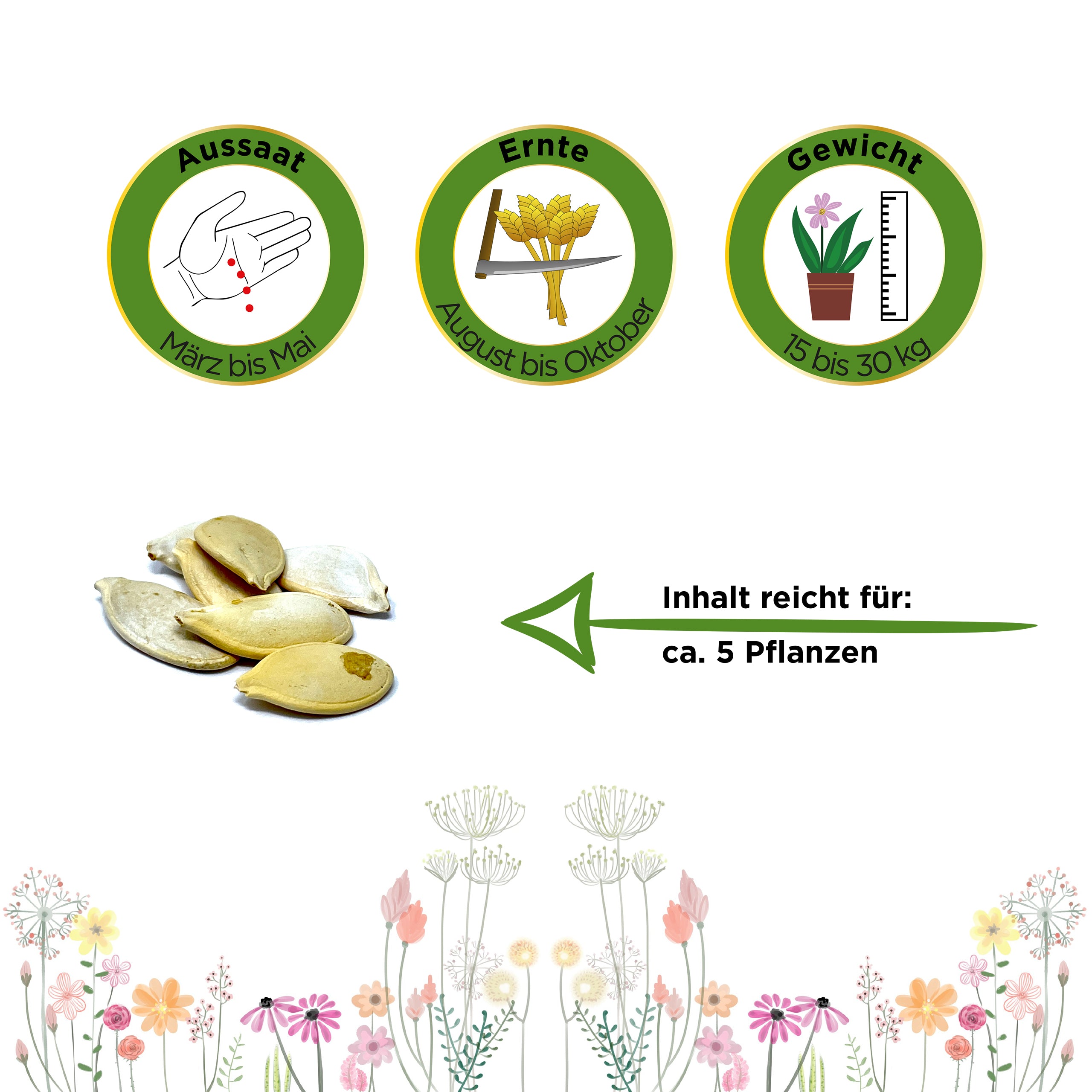 Kürbis Gelber Zentner