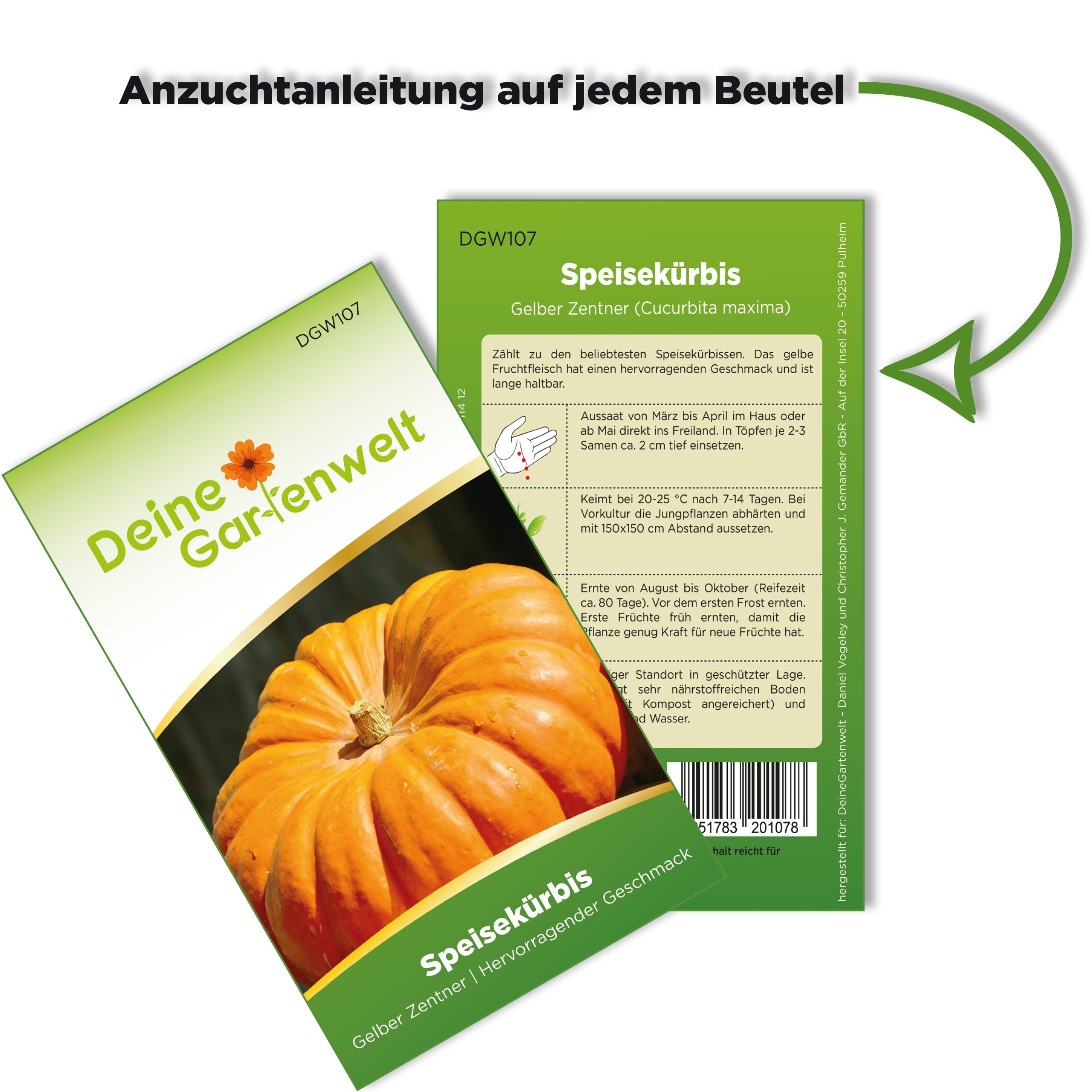 Kürbis Gelber Zentner