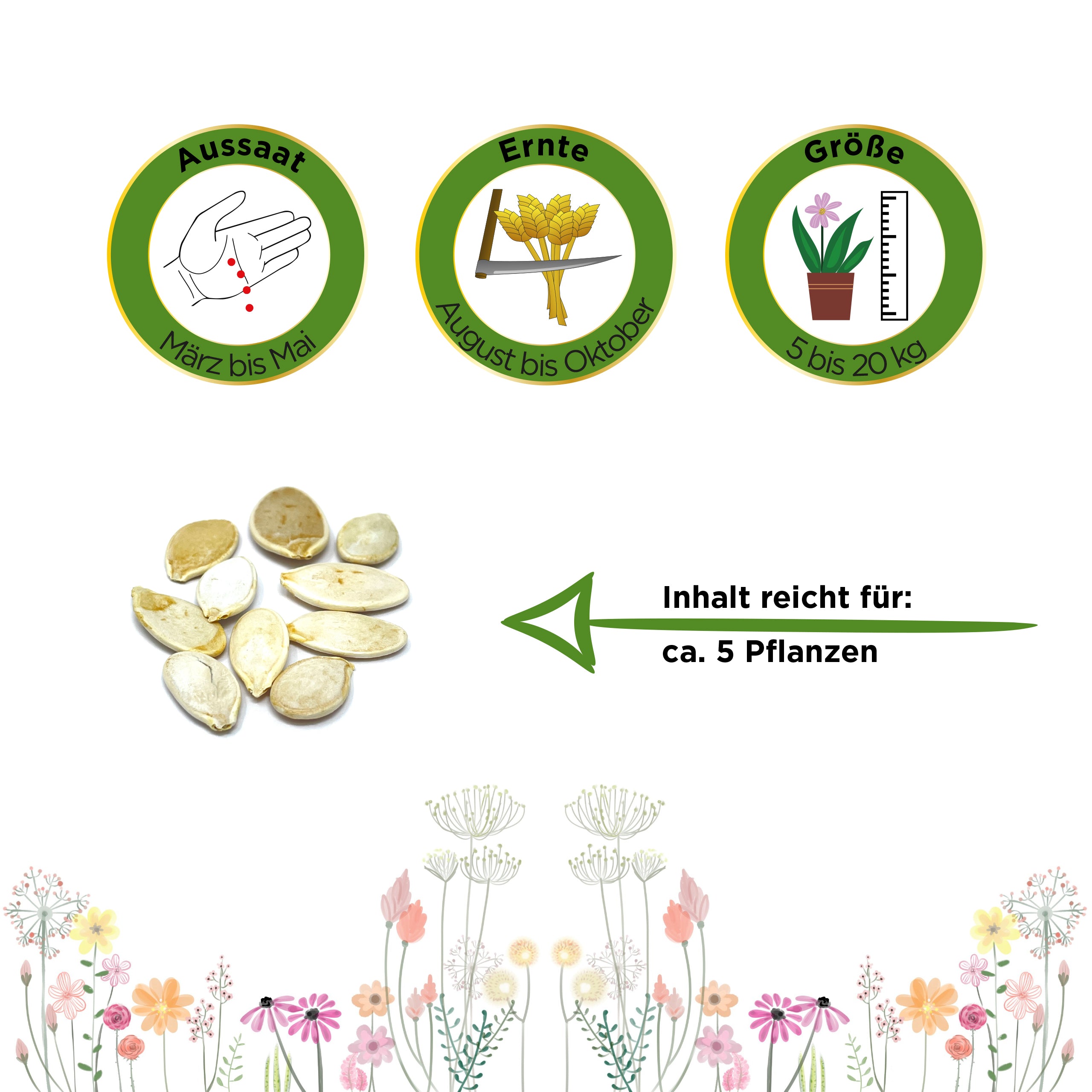 Riesenkürbis Roter Zentner