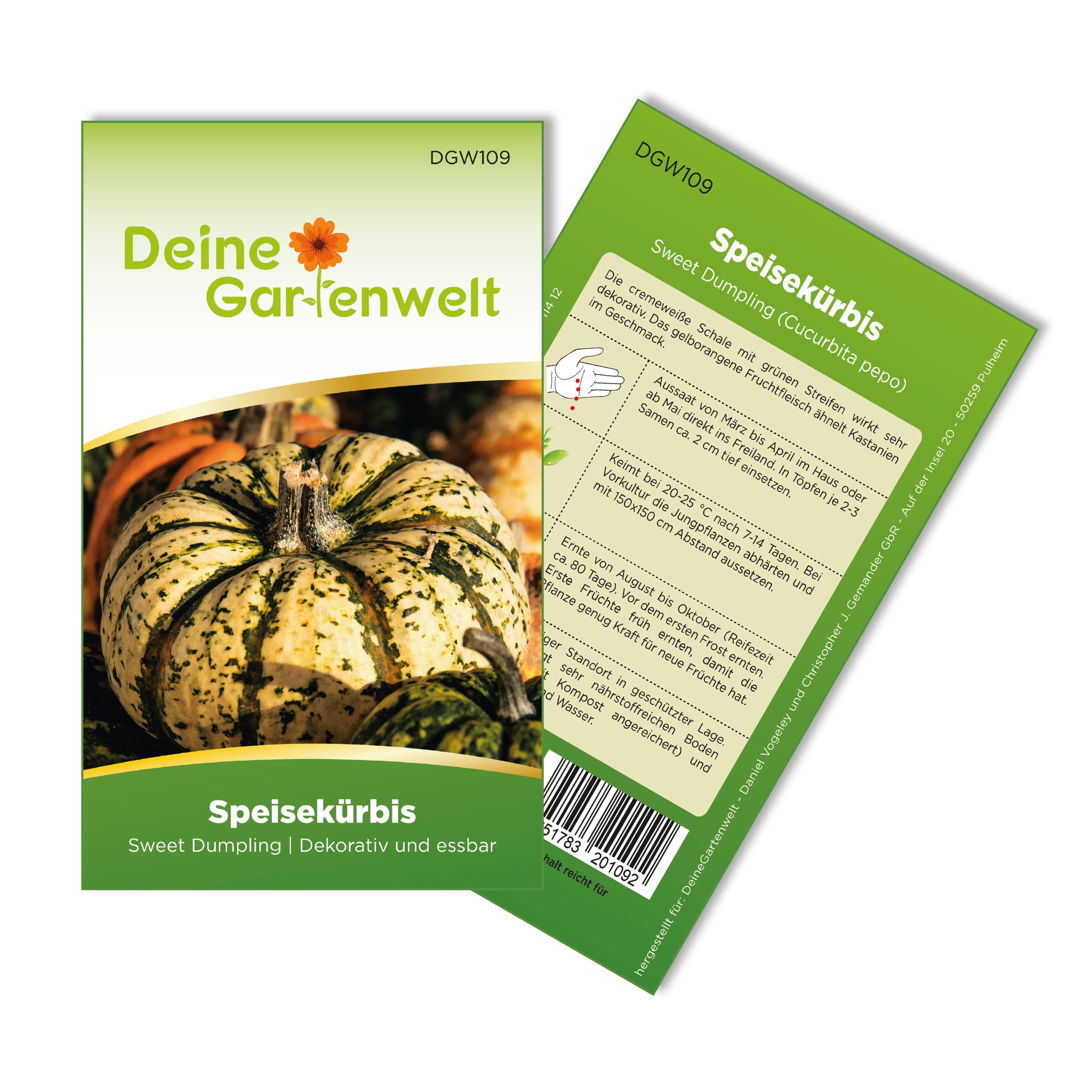 Kürbis Sweet Dumpling