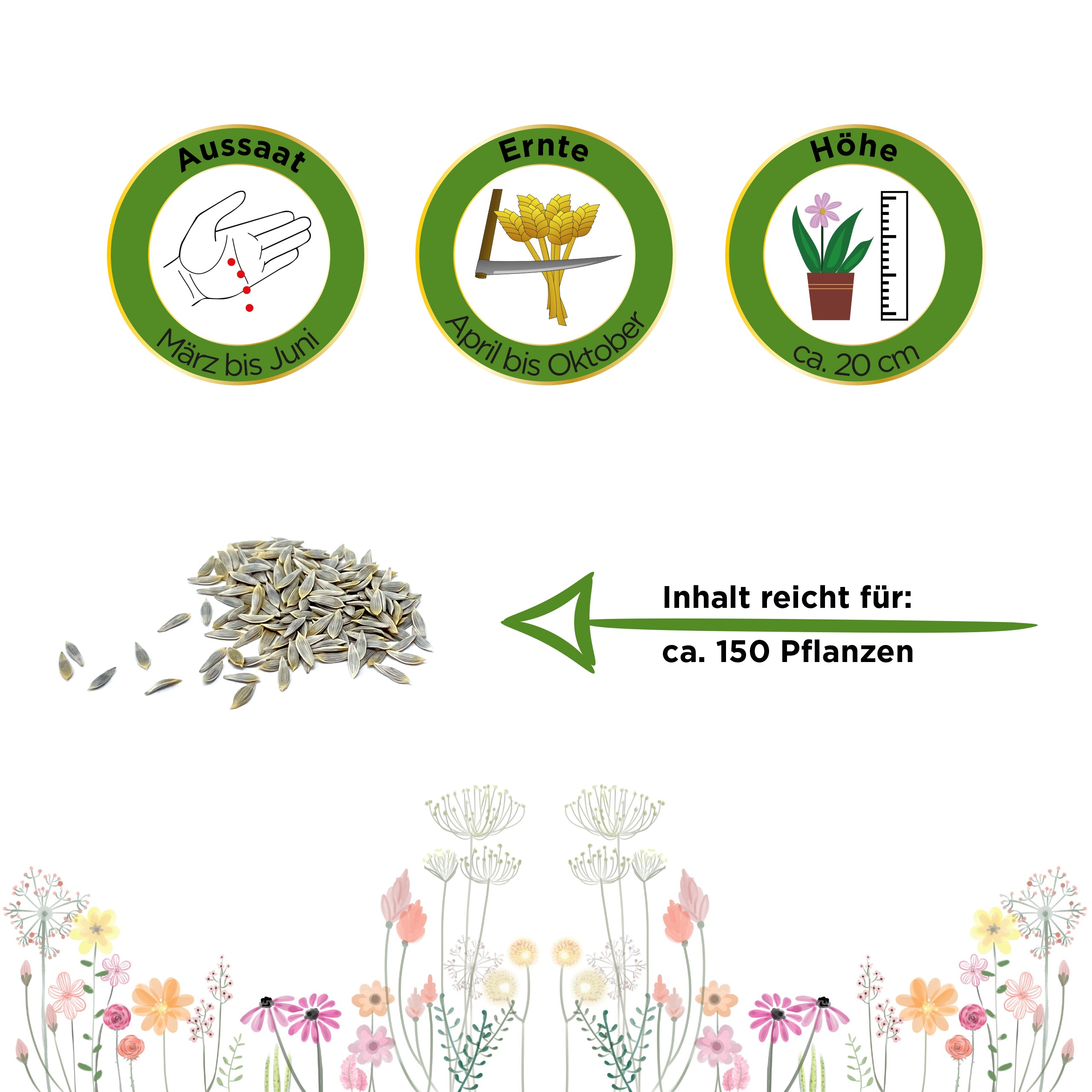 Mini-Romanasalat Xanadu