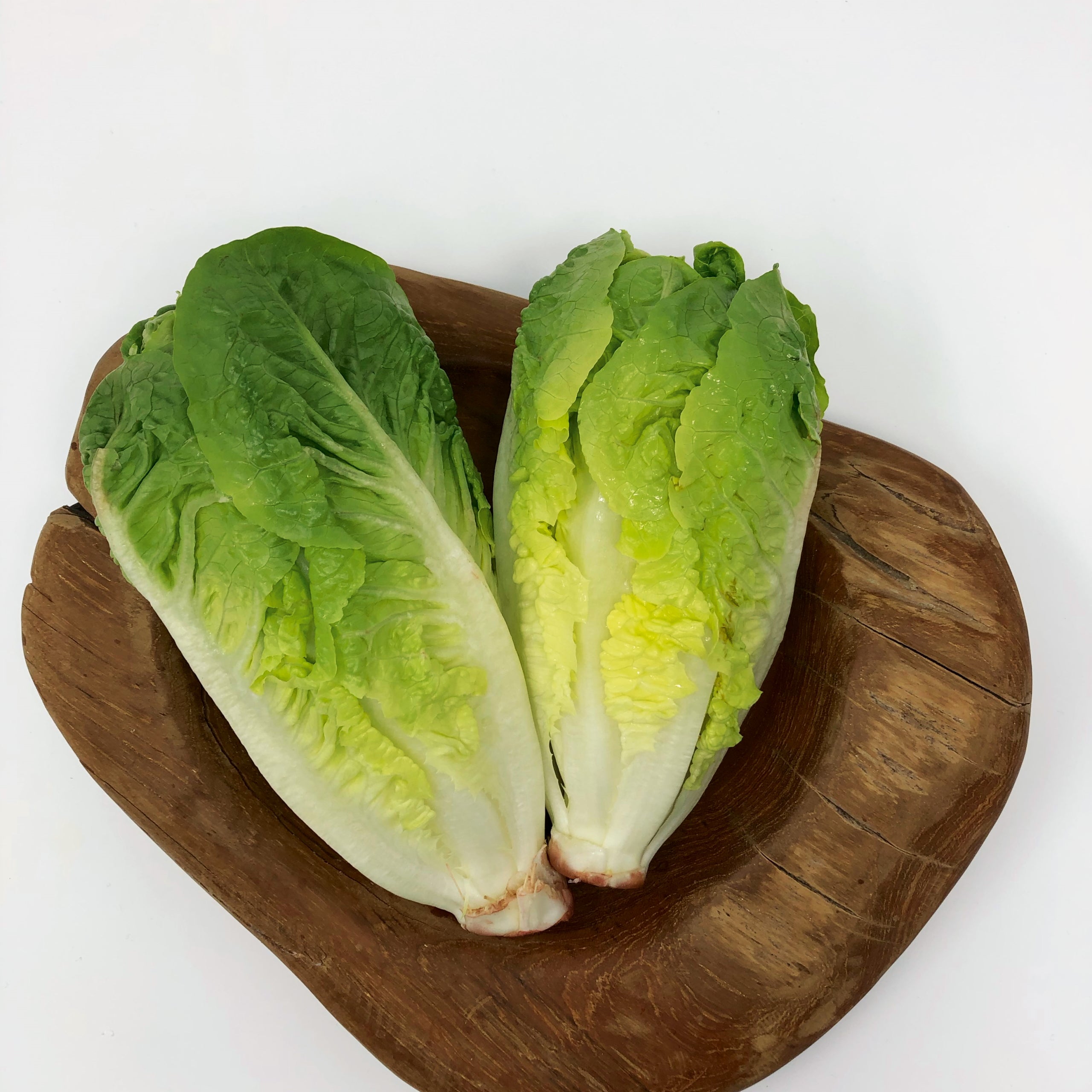 Mini-Romanasalat Xanadu