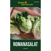 Mini-Romanasalat Xanadu