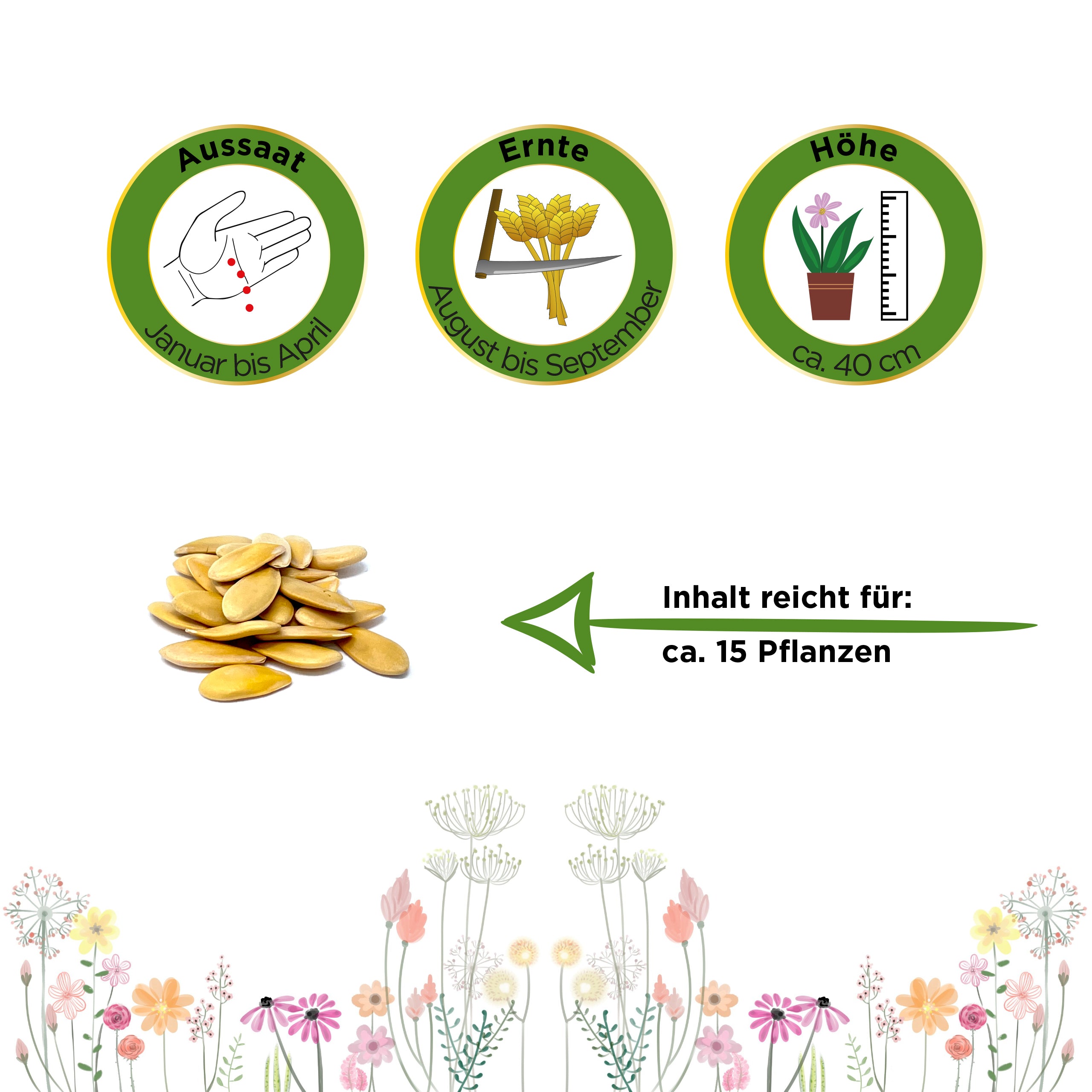 Zuckermelone Charentais