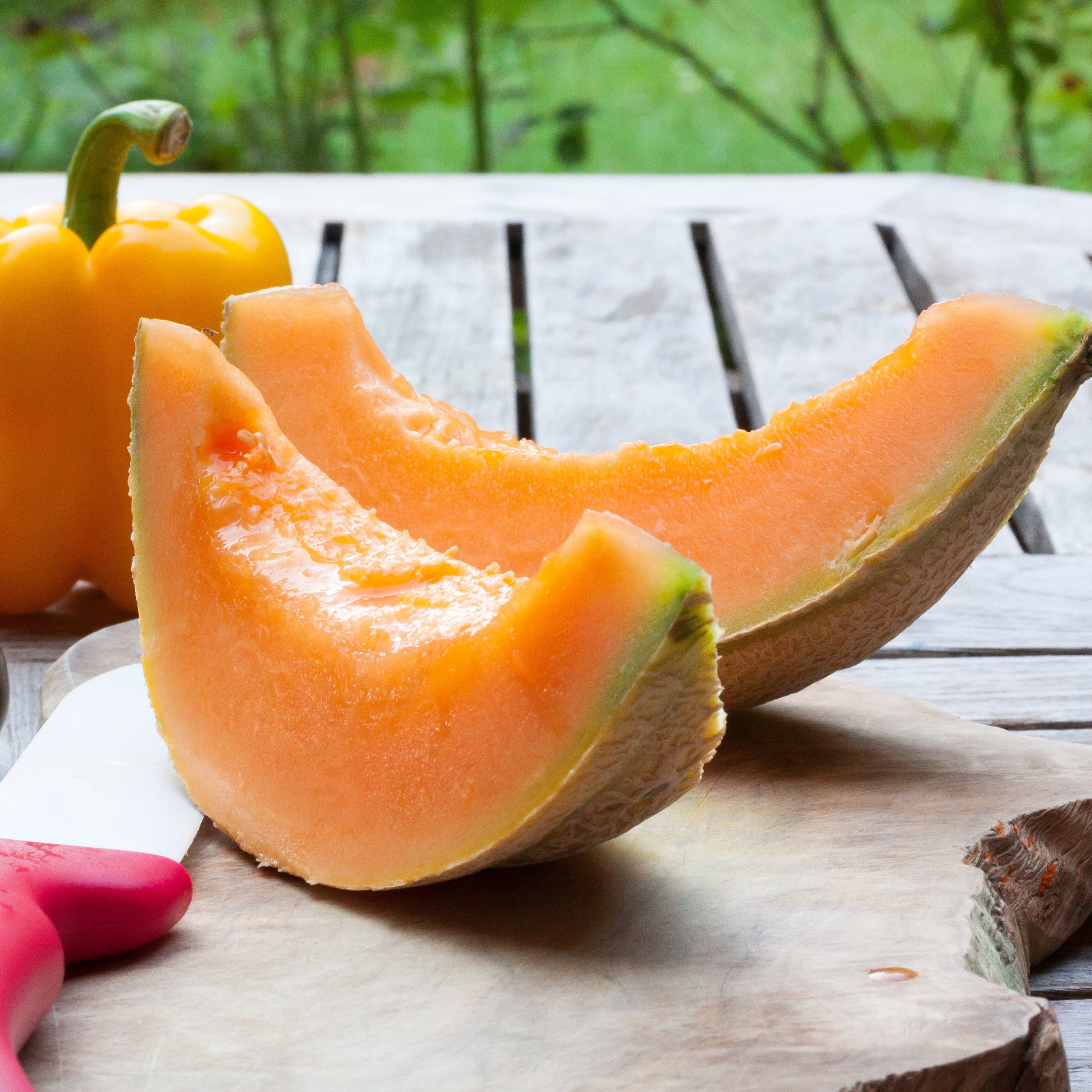 Zuckermelone Charentais