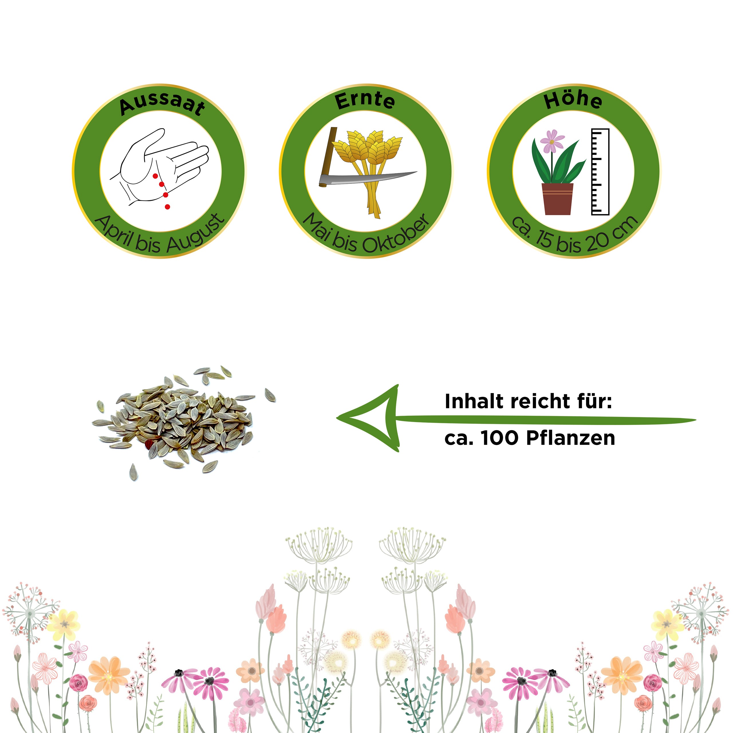 Pflücksalat Lollo rossa