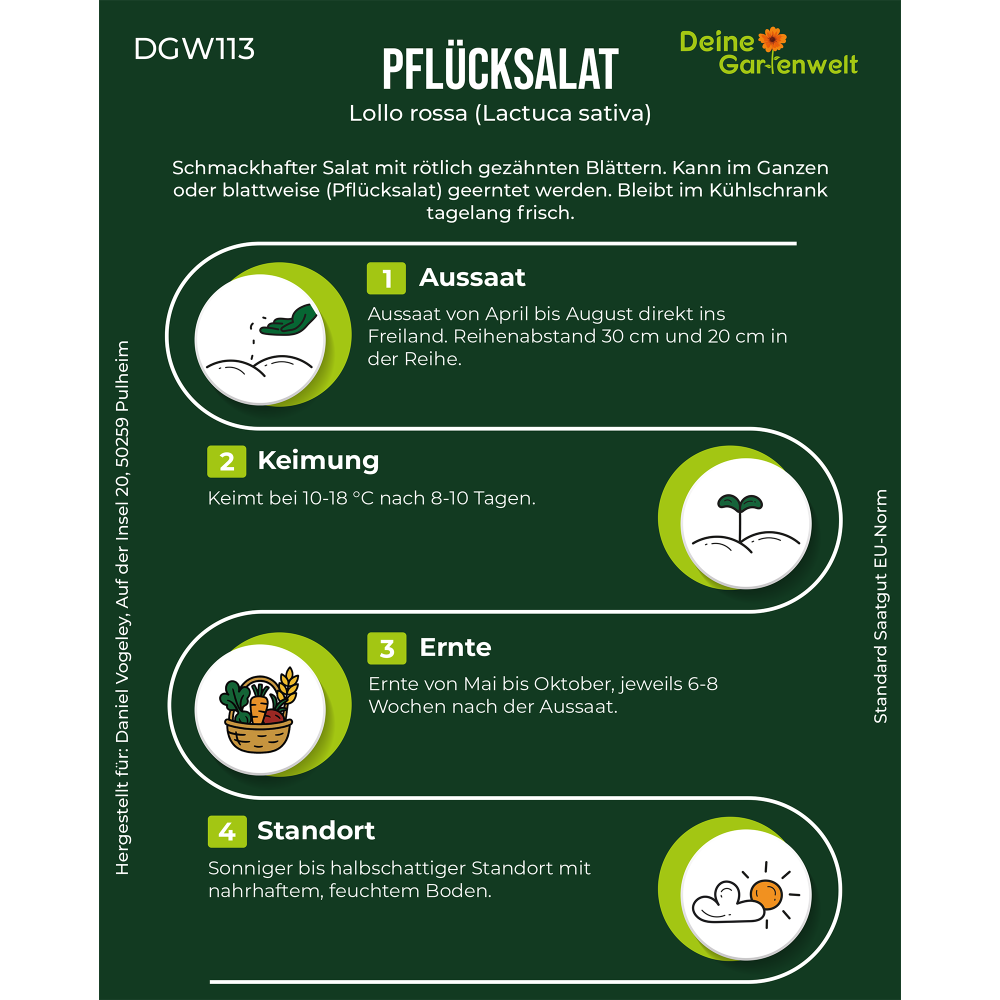 Pflücksalat Lollo rossa