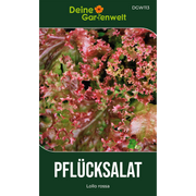 Pflücksalat Lollo rossa