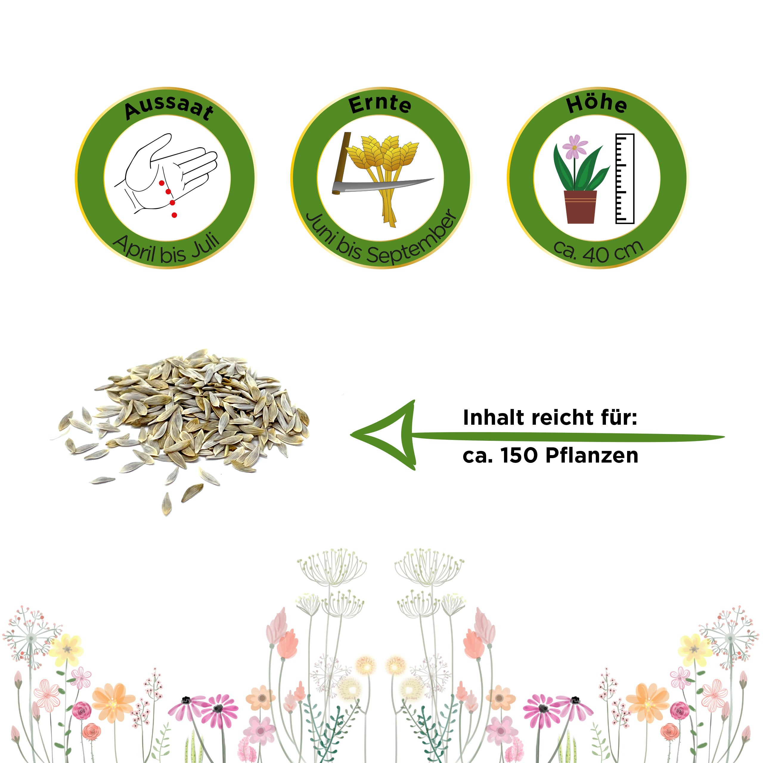 Eisbergsalat Great Lakes 118