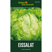 Eisbergsalat Great Lakes 118