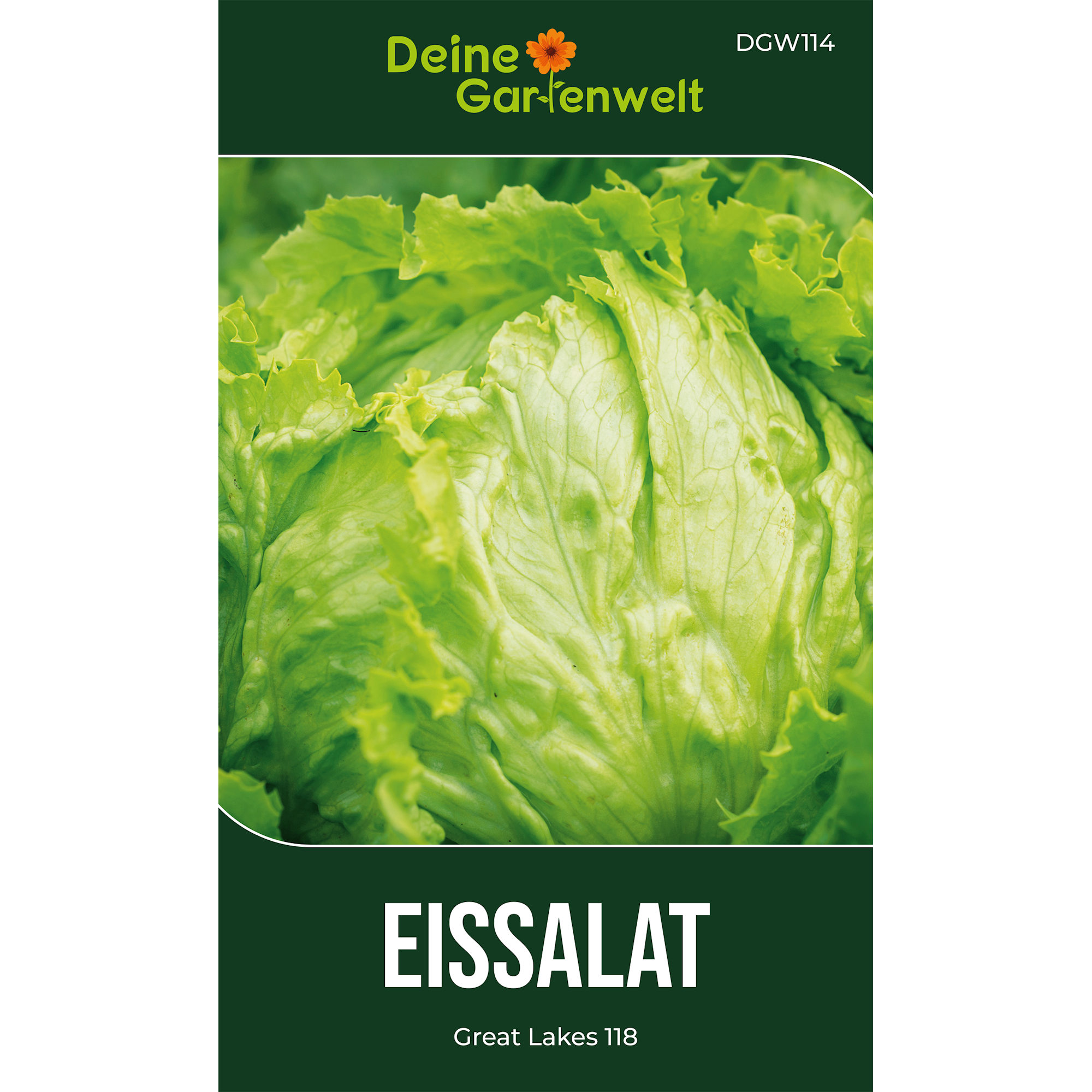 Eisbergsalat Great Lakes 118