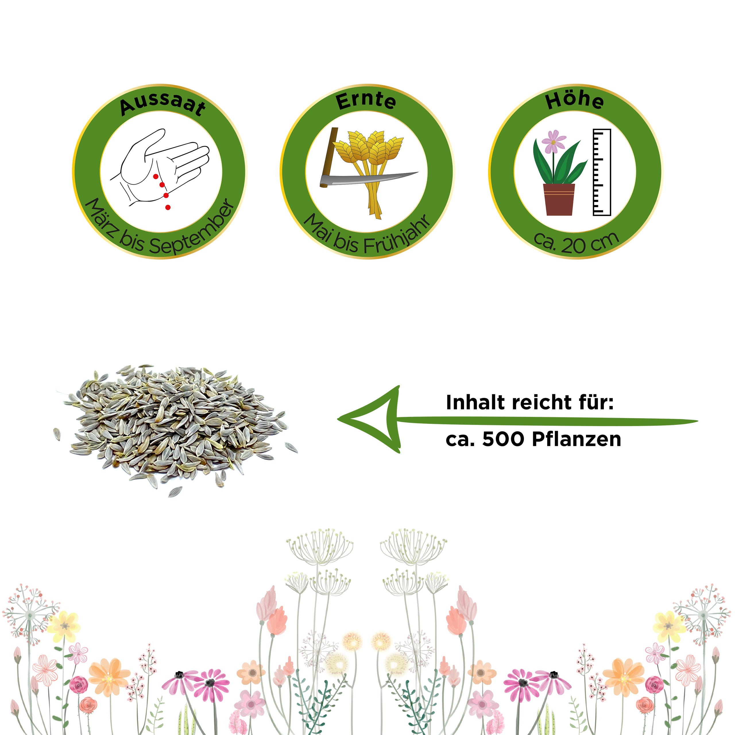 Winter-Kopfsalat Maiwunder