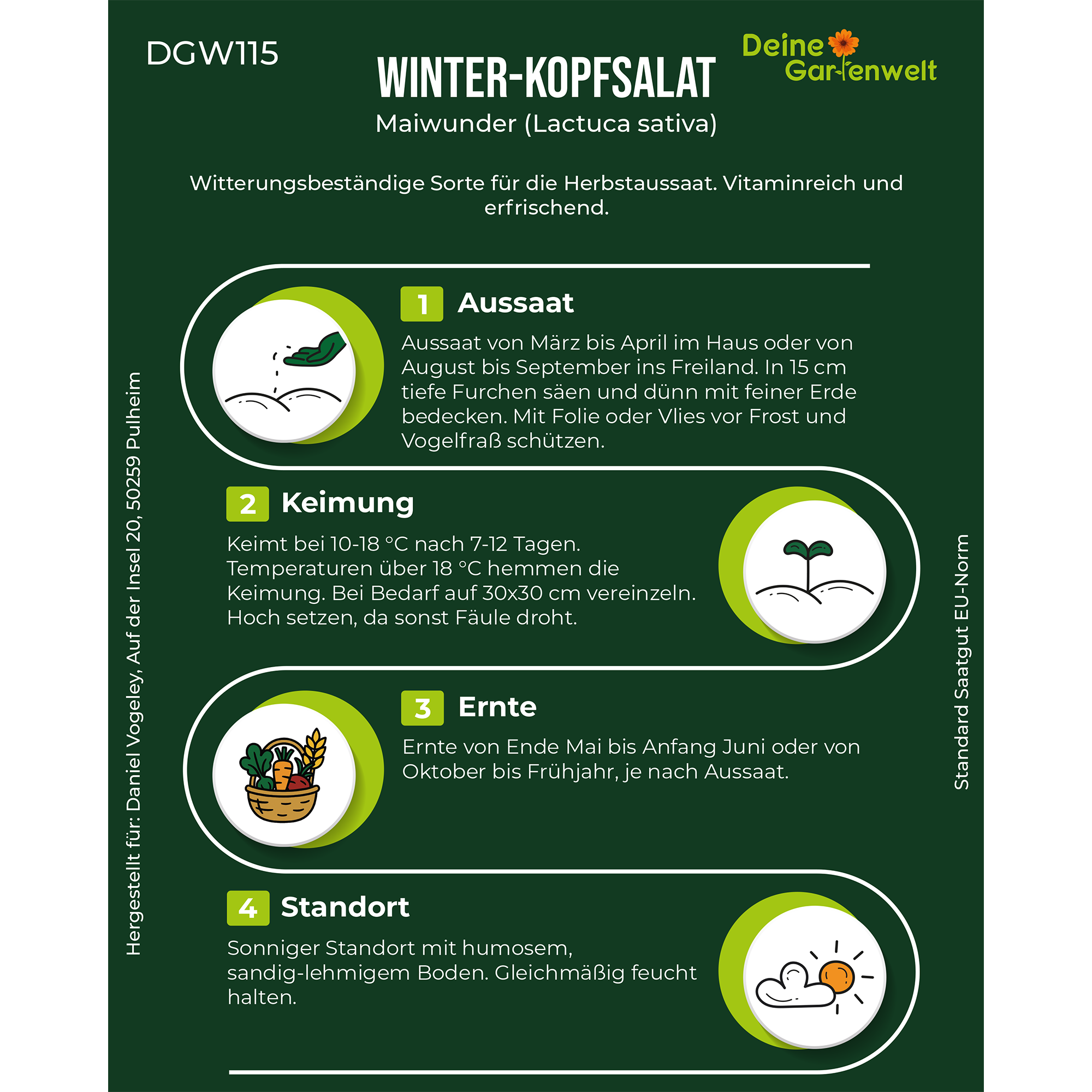 Winter-Kopfsalat Maiwunder