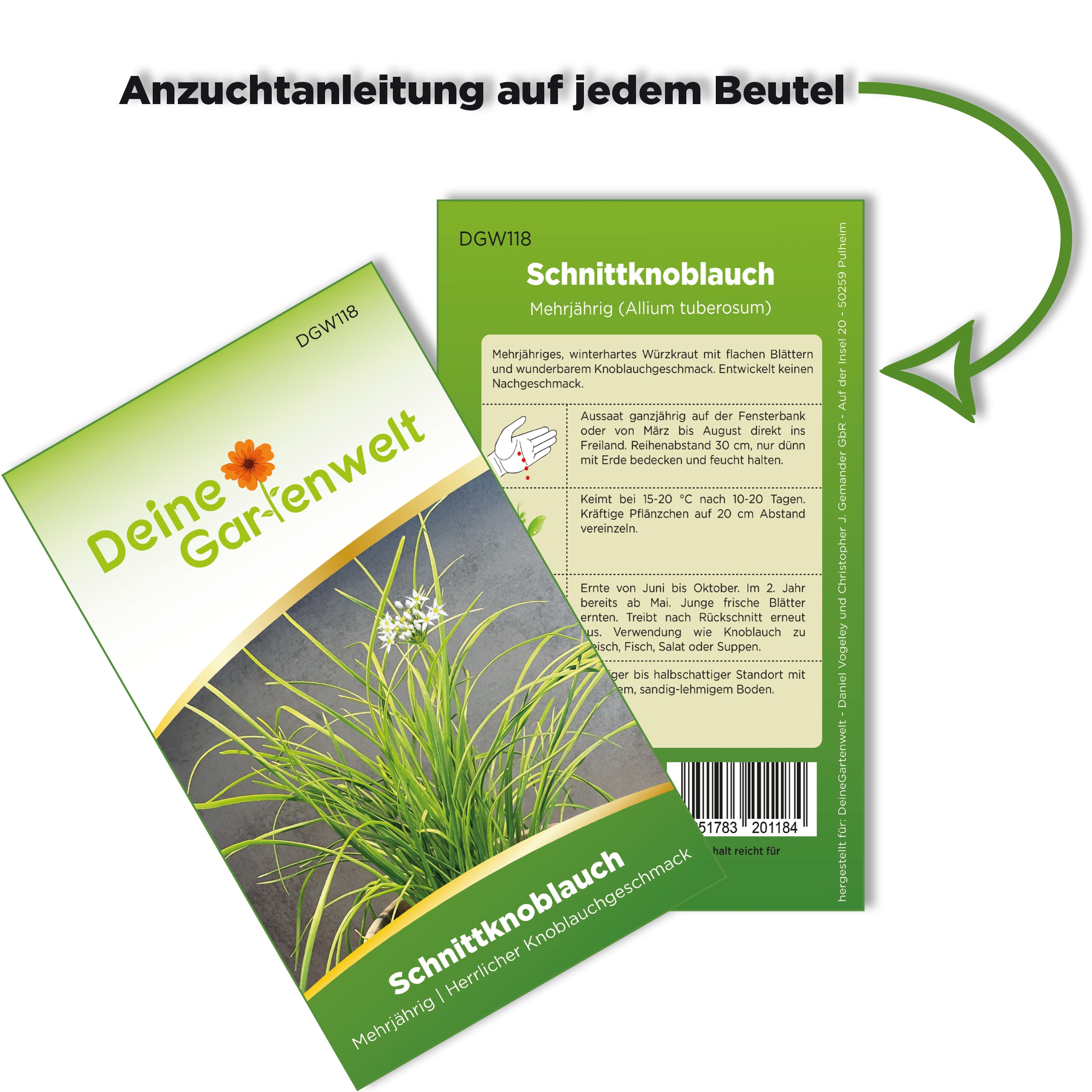 Schnittknoblauch Mehrjährig