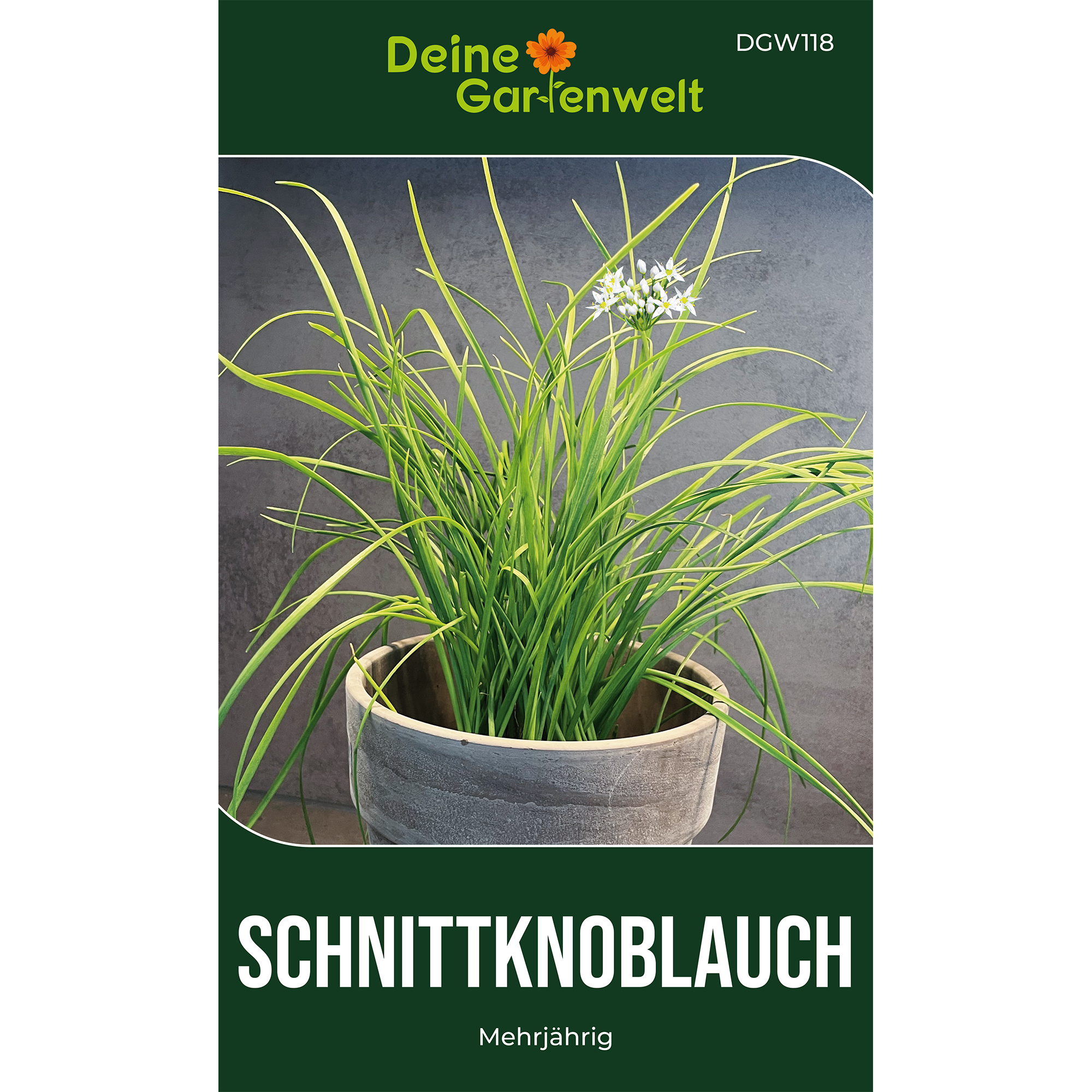 Schnittknoblauch Mehrjährig