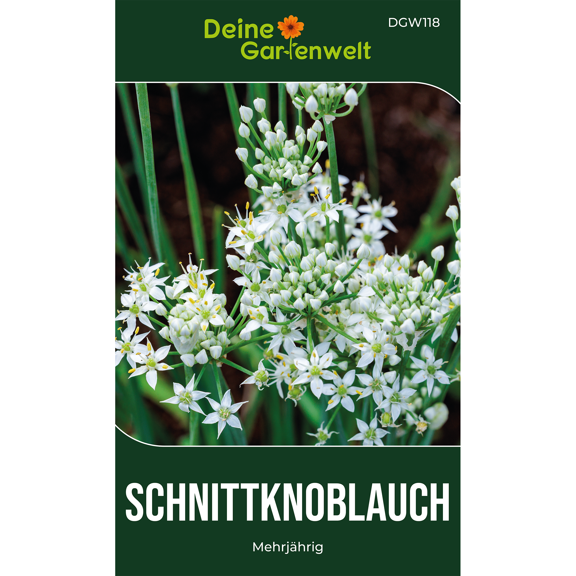 Schnittknoblauch Saatgut