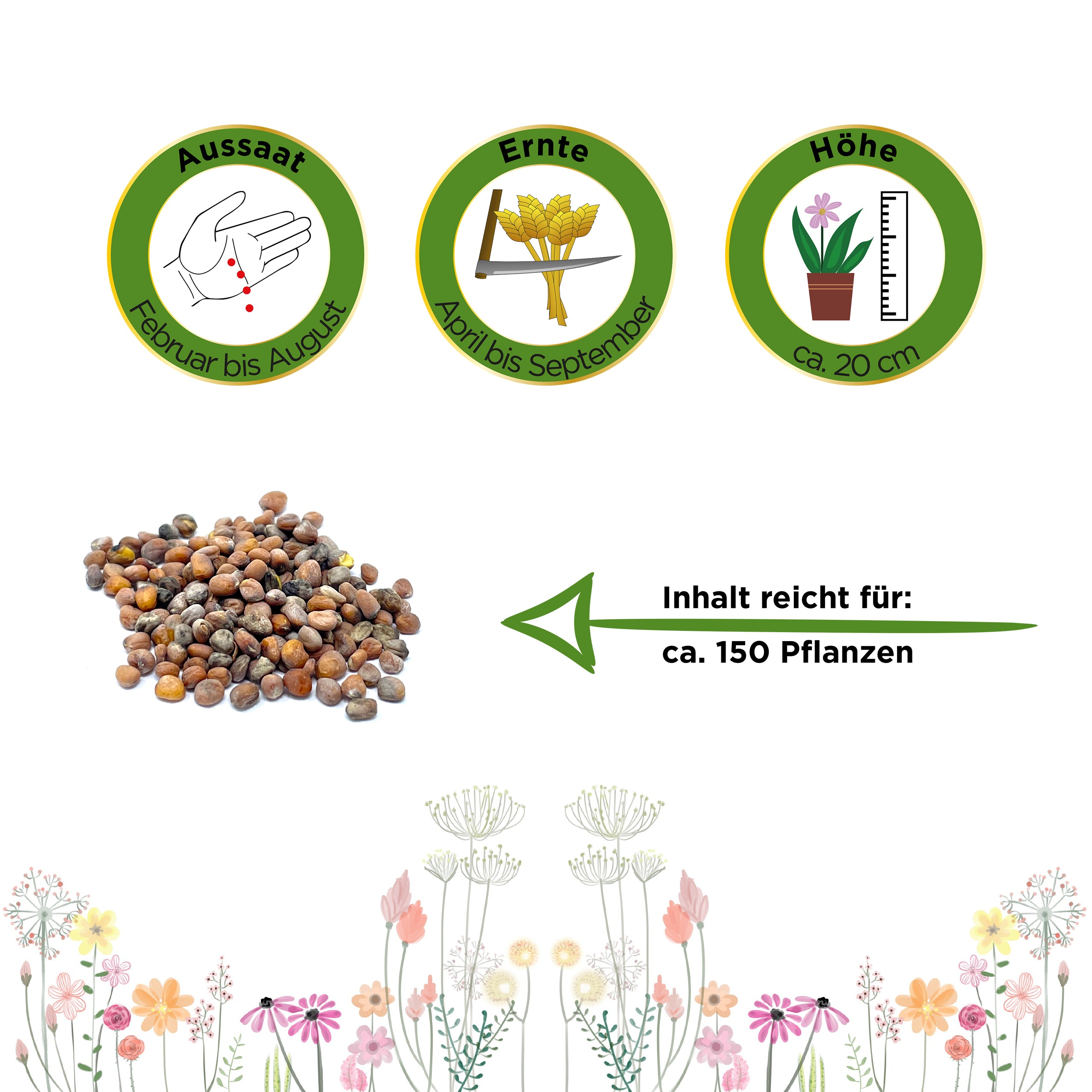 Rettich Ostergruß rosa 2