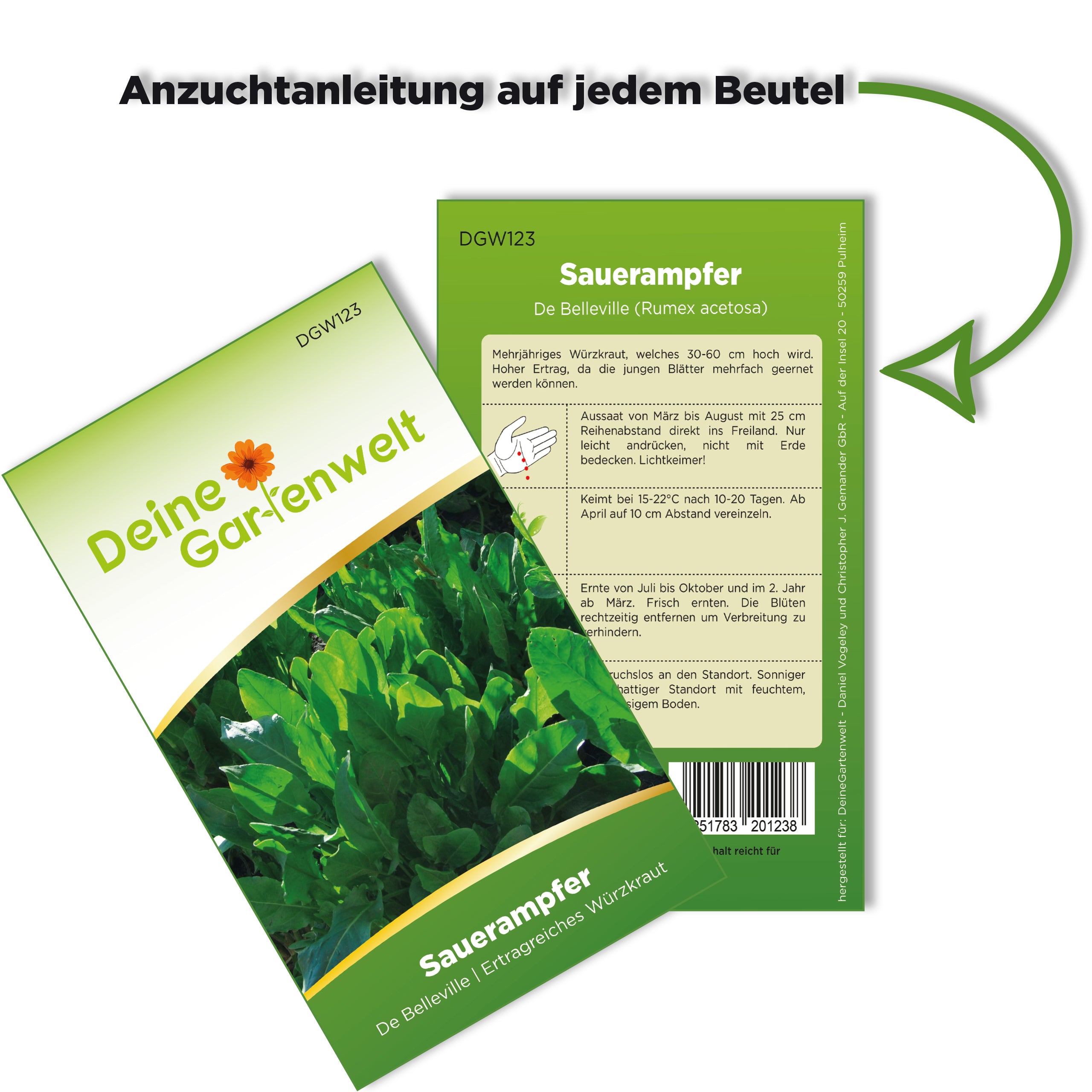 Sauerampfer De Belleville