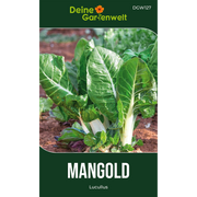 Mangold Lucullus