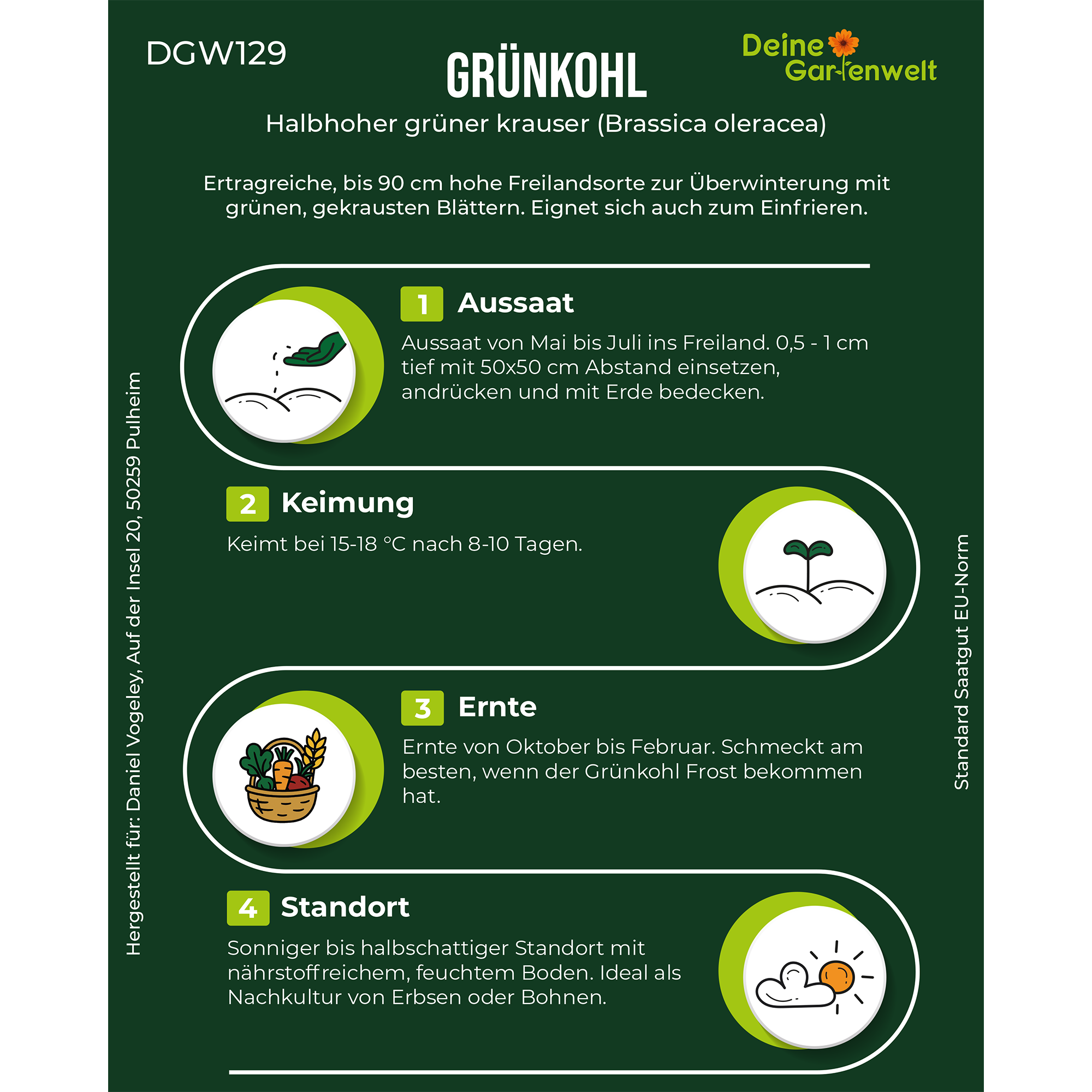 Grünkohl Halbhoher grüner Krauser