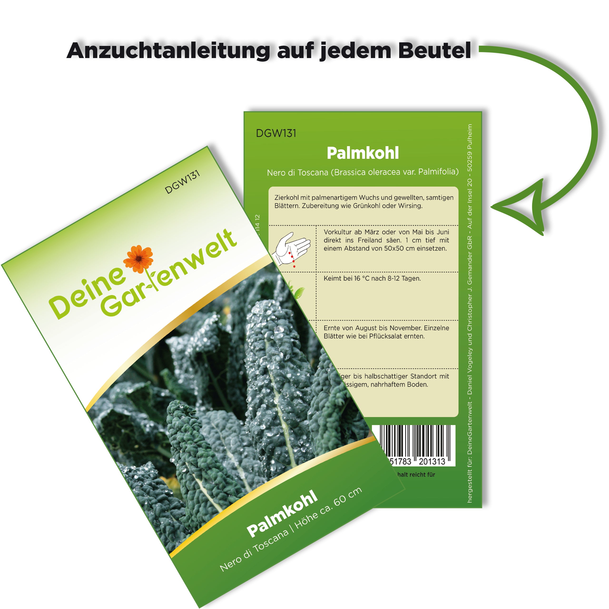 Palmkohl Nero di Toscana