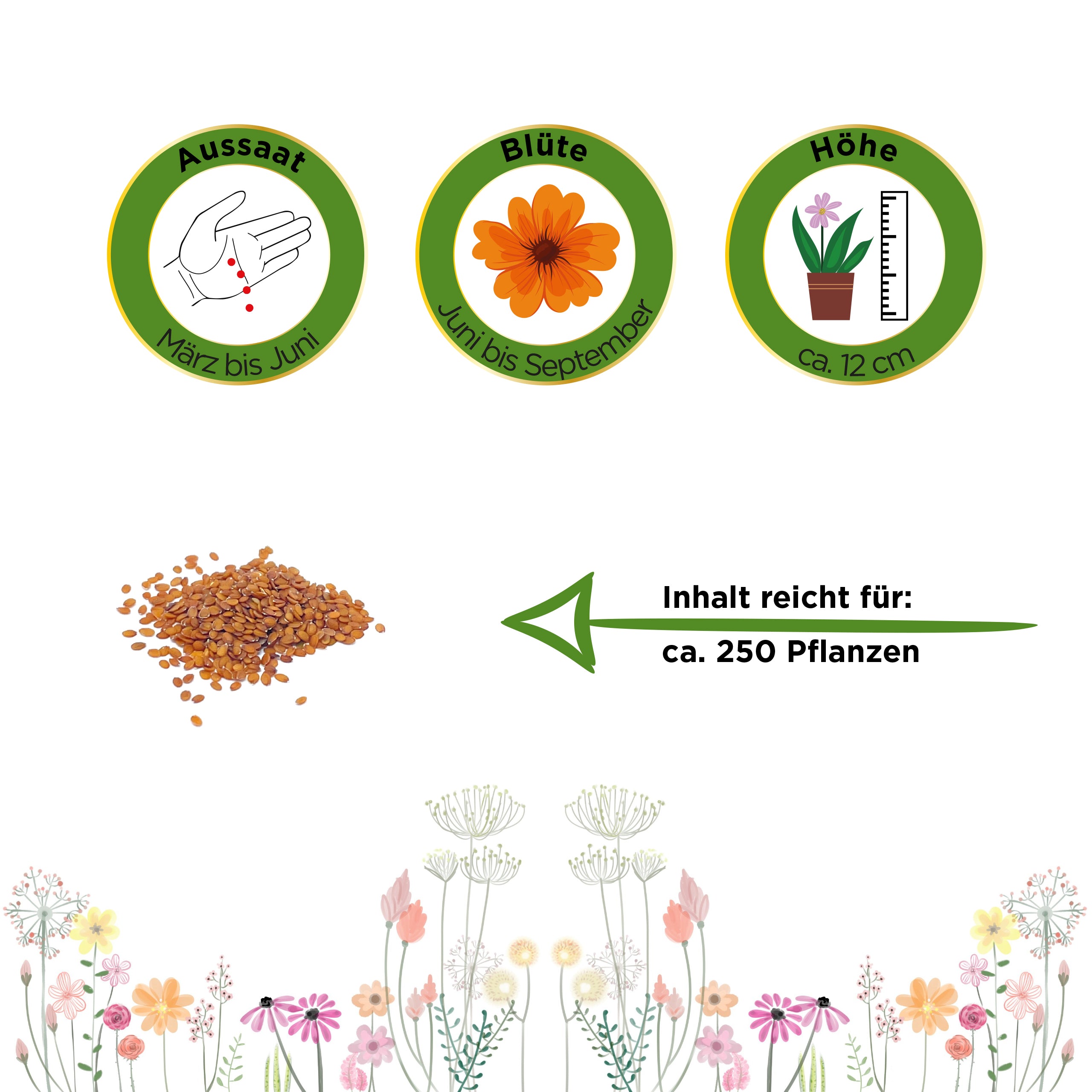 Steinkraut Schneedecke