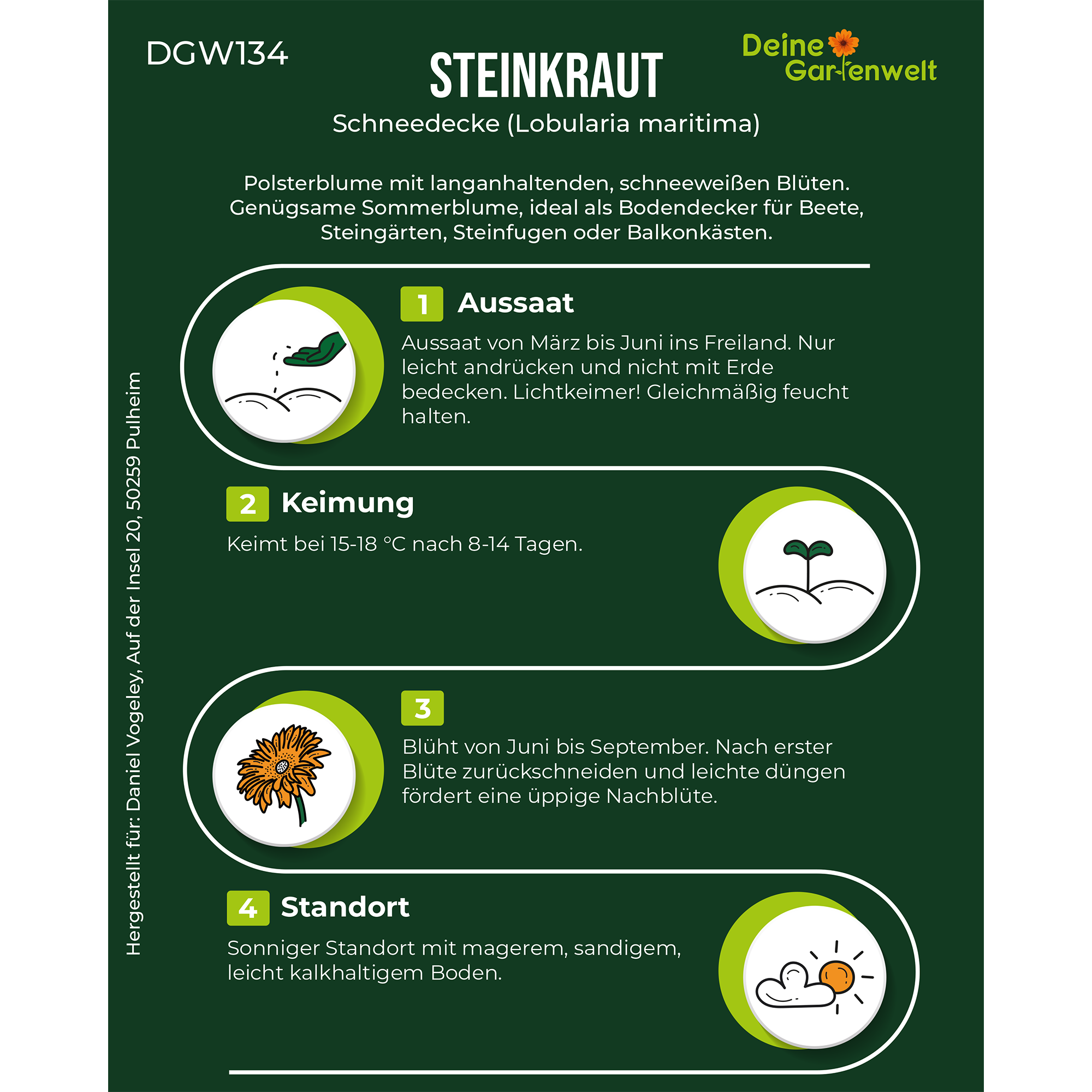 Steinkraut Schneedecke