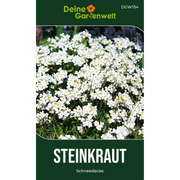 Steinkraut Schneedecke