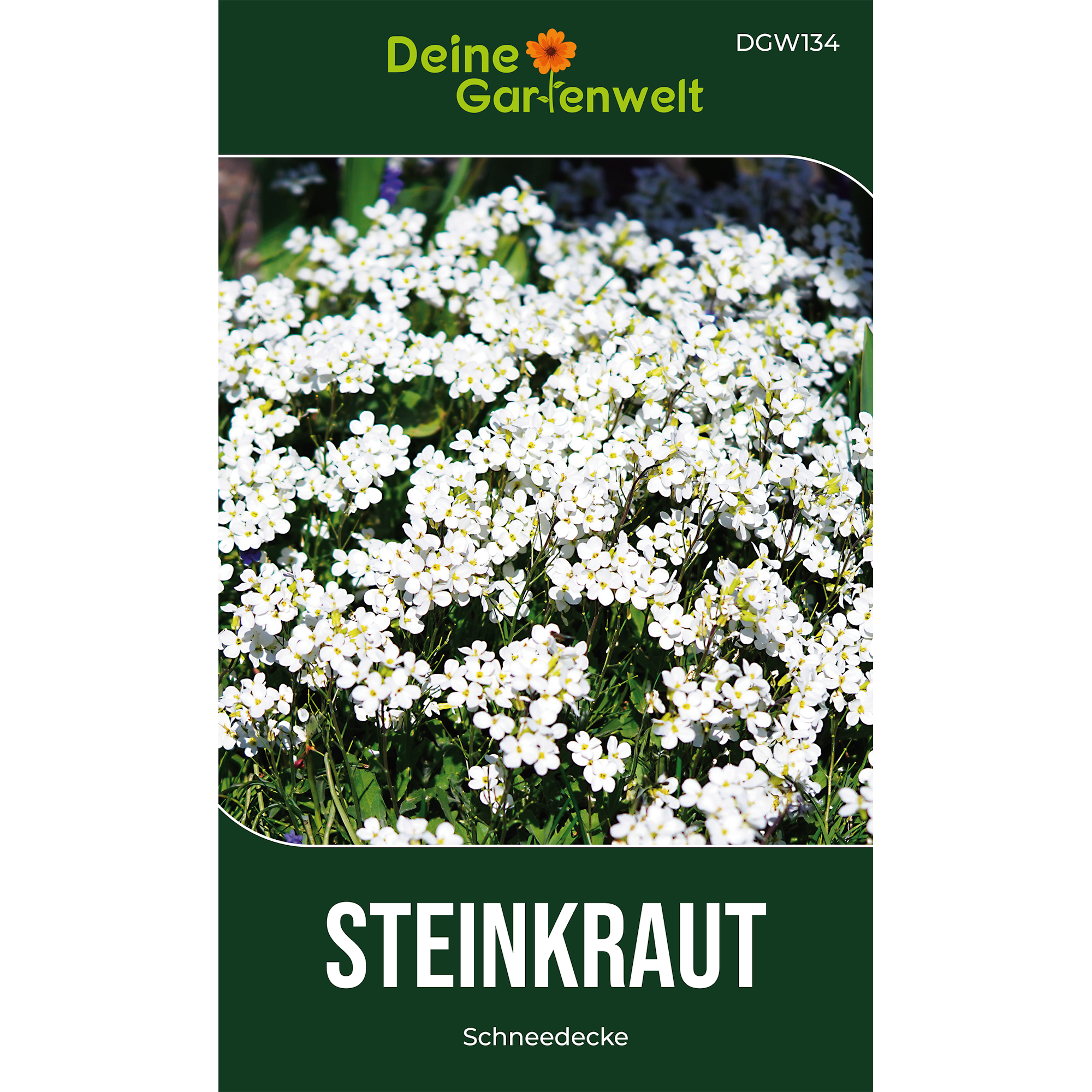 Steinkraut Schneedecke