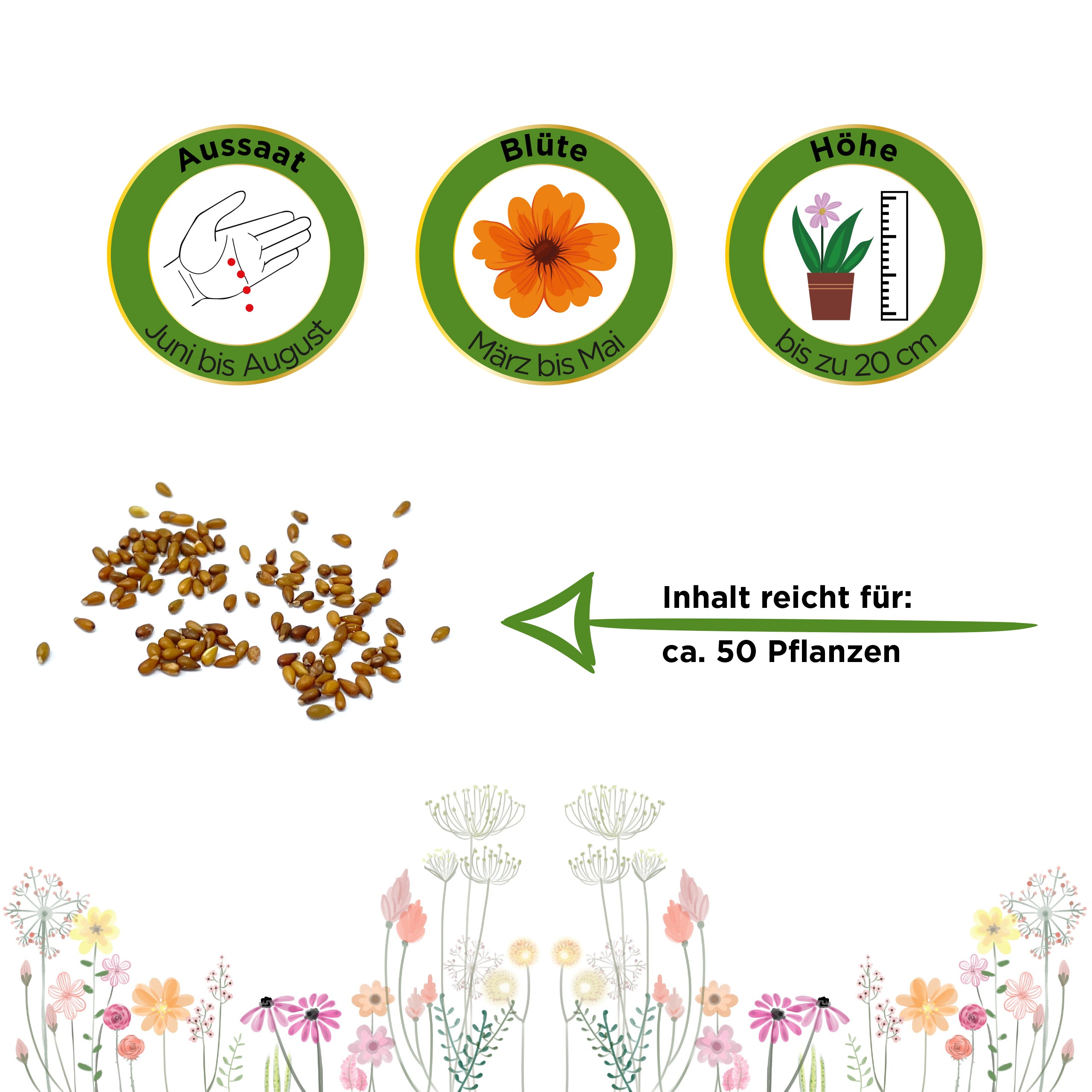 Stiefmütterchen Schweizer Riesen Mischung