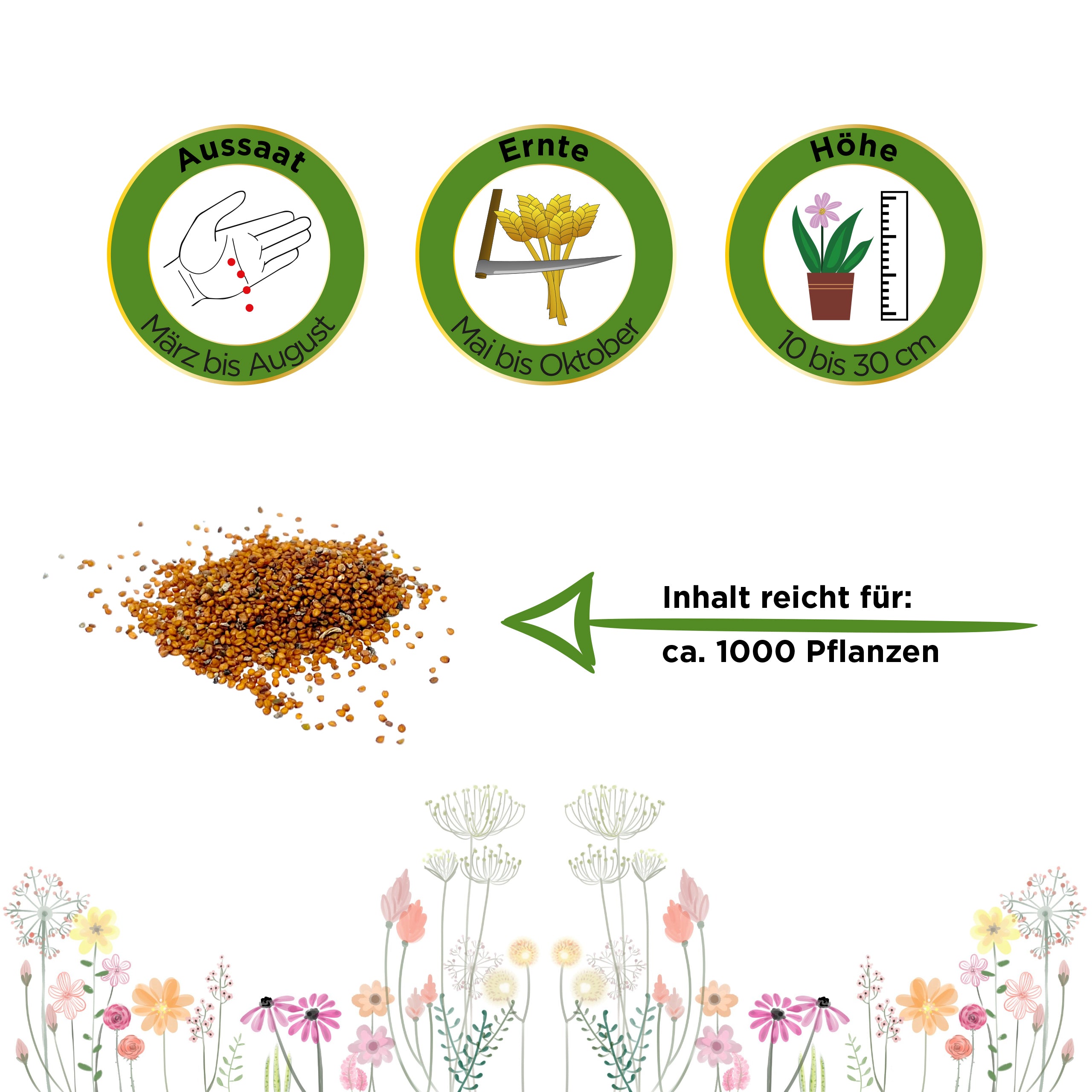 Brunnenkresse Kultivierte