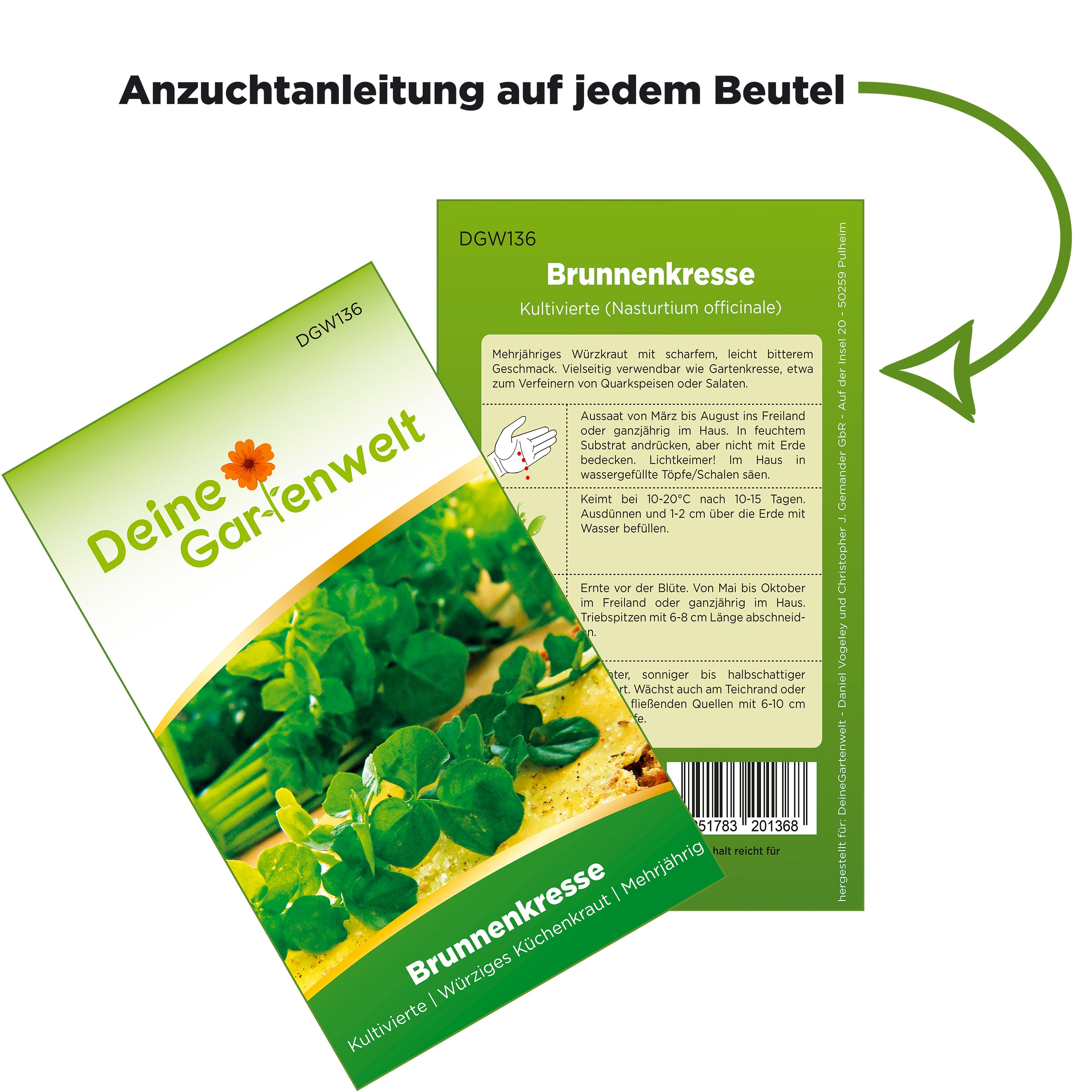 Brunnenkresse Kultivierte