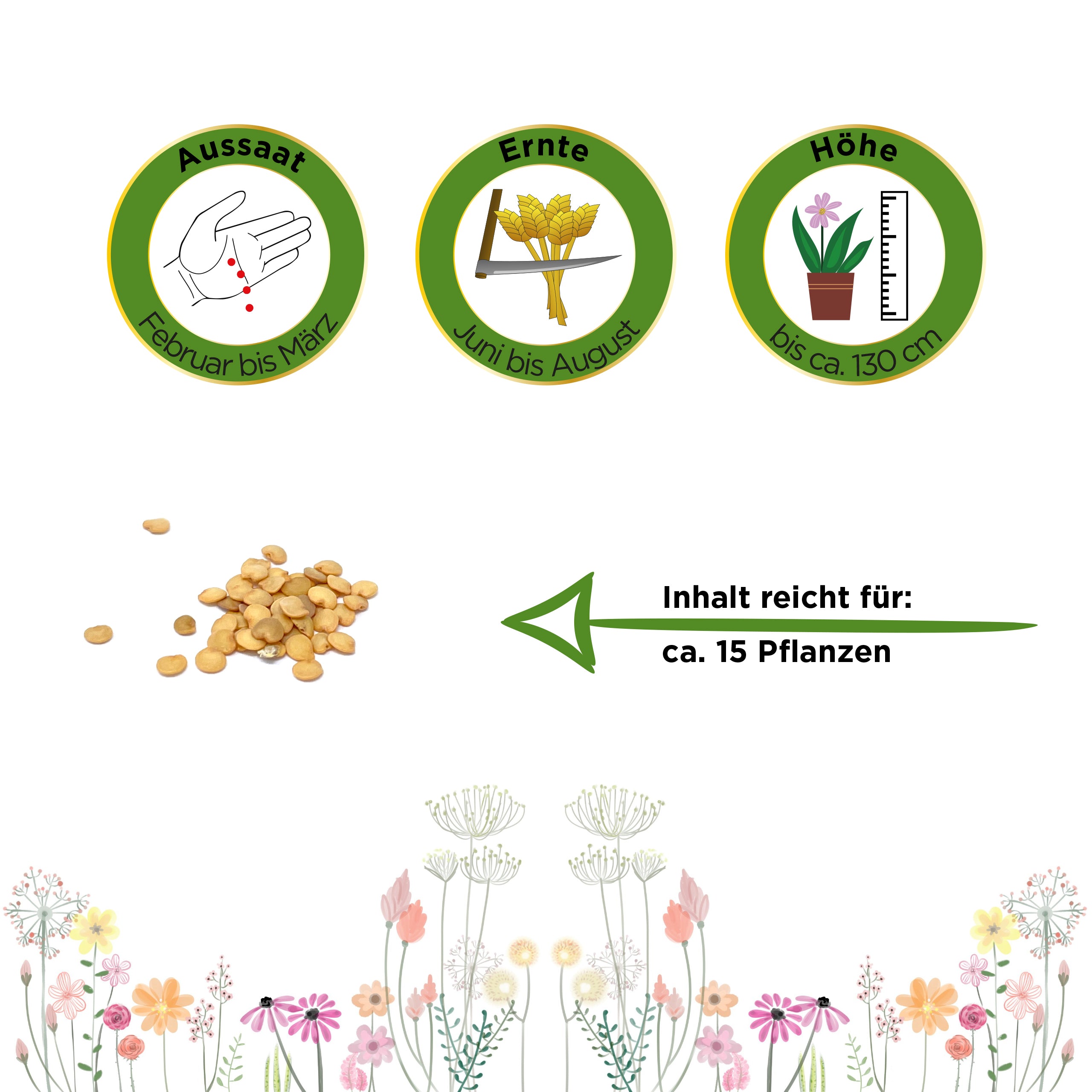 Aubergine Black Beauty