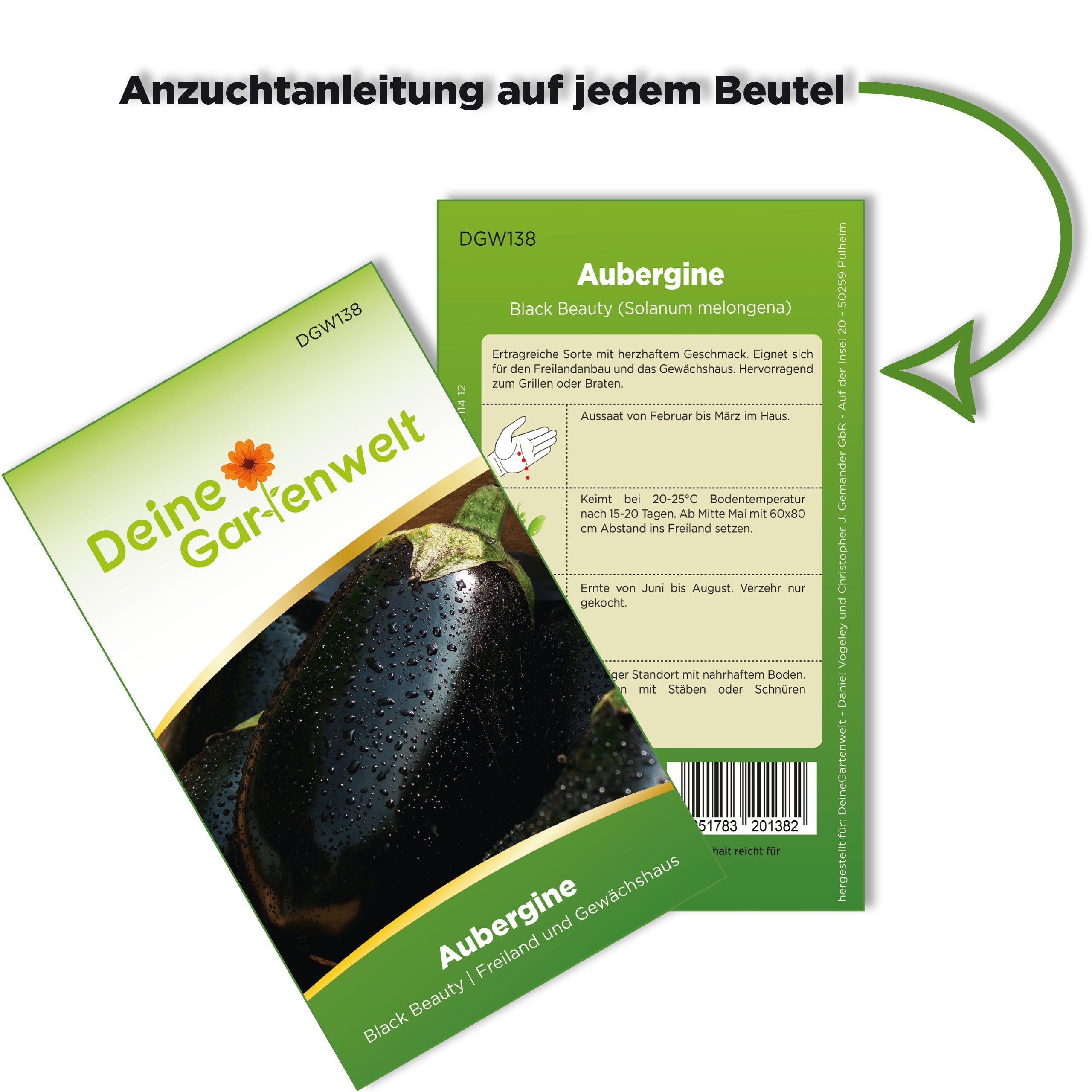 Aubergine Black Beauty