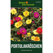 Portulakröschen Gefüllte Mischung