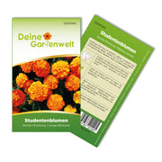 Studentenblume Tagetes Bonita Mischung