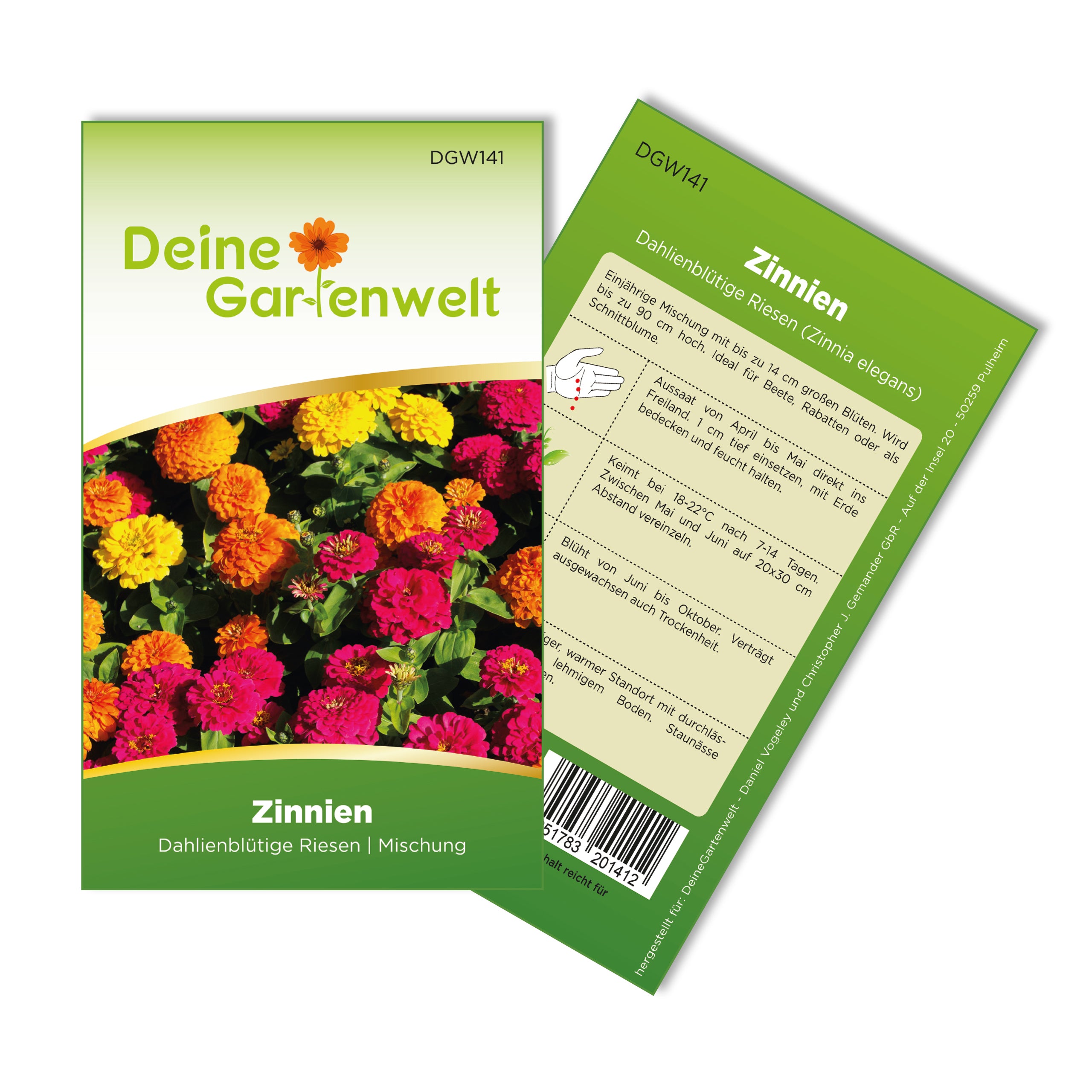 Zinnie Dahlienblütige Mischung