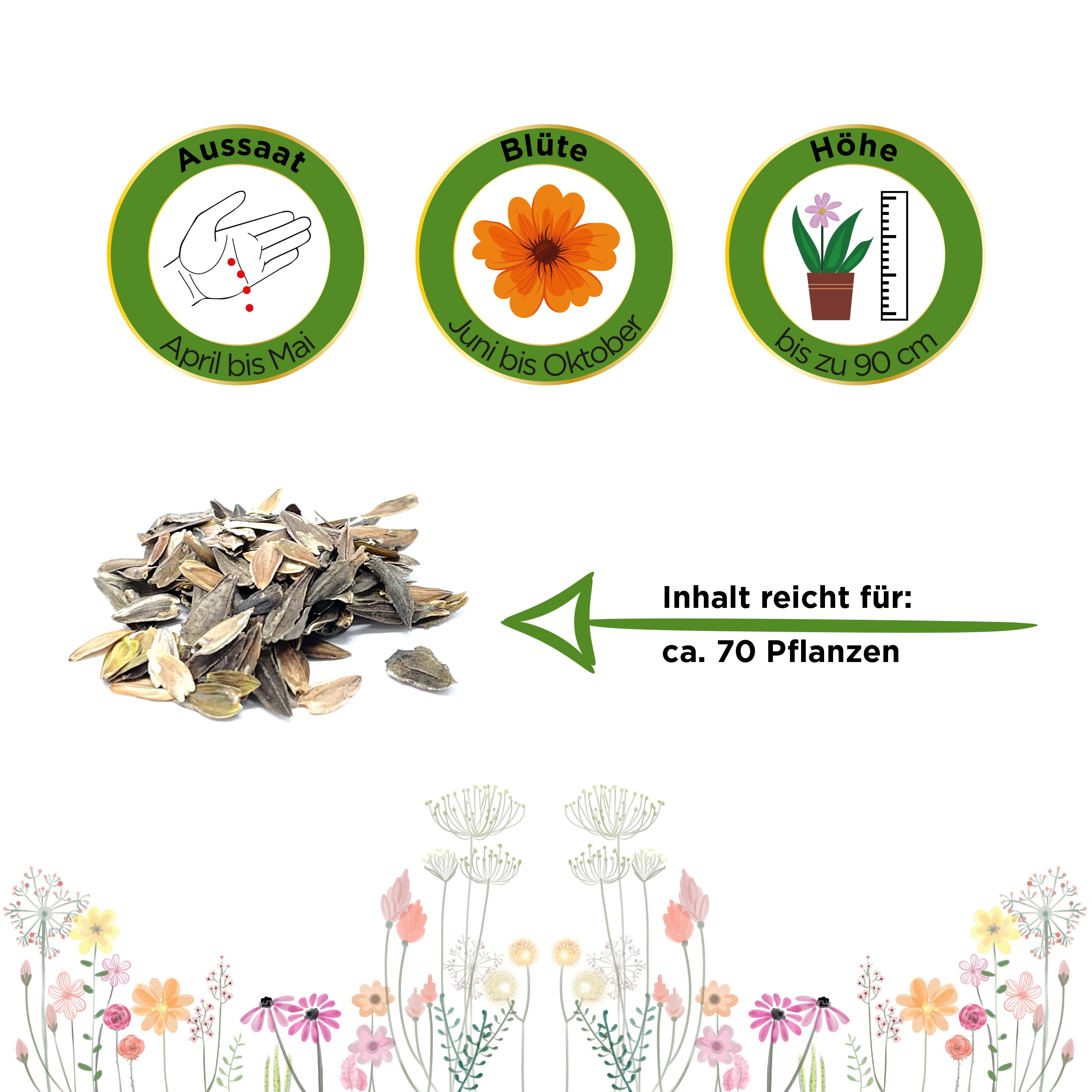 Zinnie Dahlienblütige Mischung