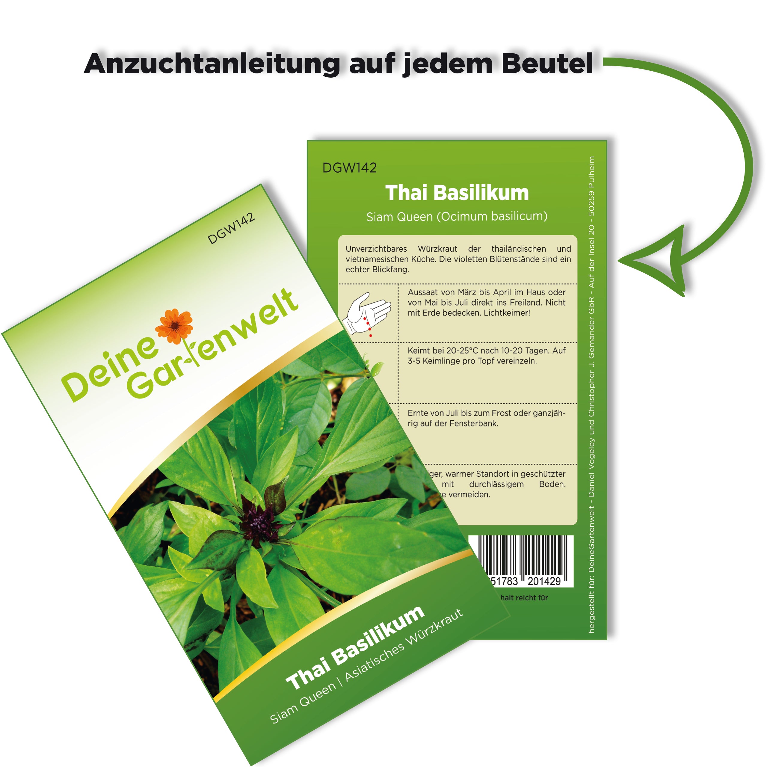 Basilikum Thai Siam Queen